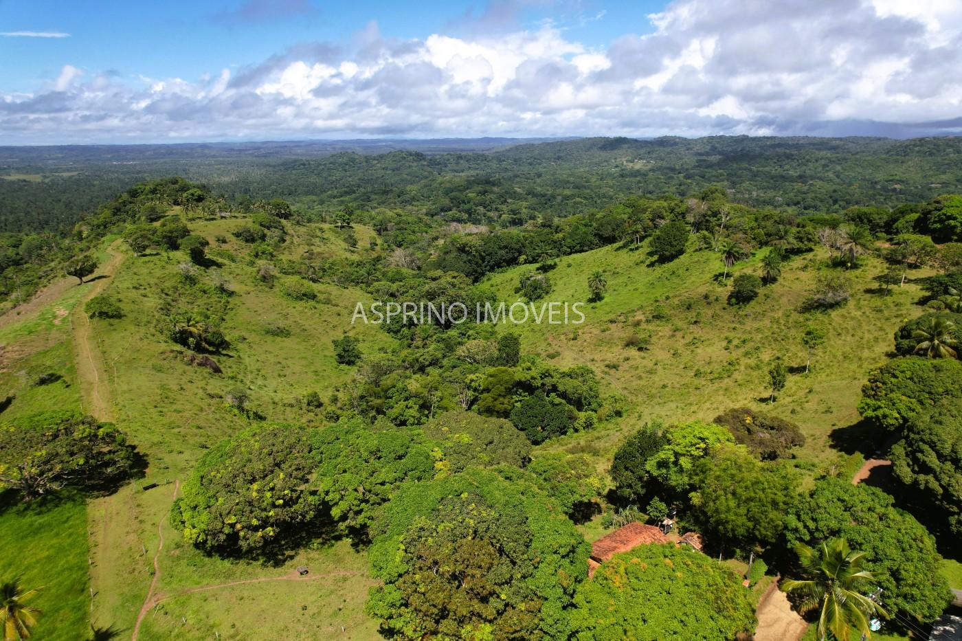 Chácara, 2 quartos, 70 hectares - Foto 10