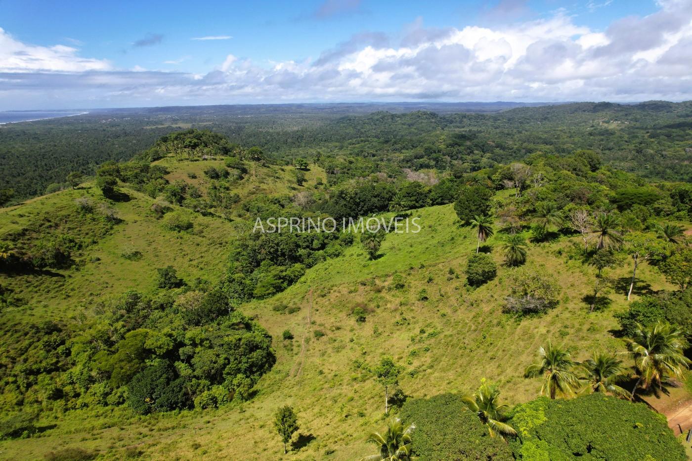 Chácara, 2 quartos, 70 hectares - Foto 11