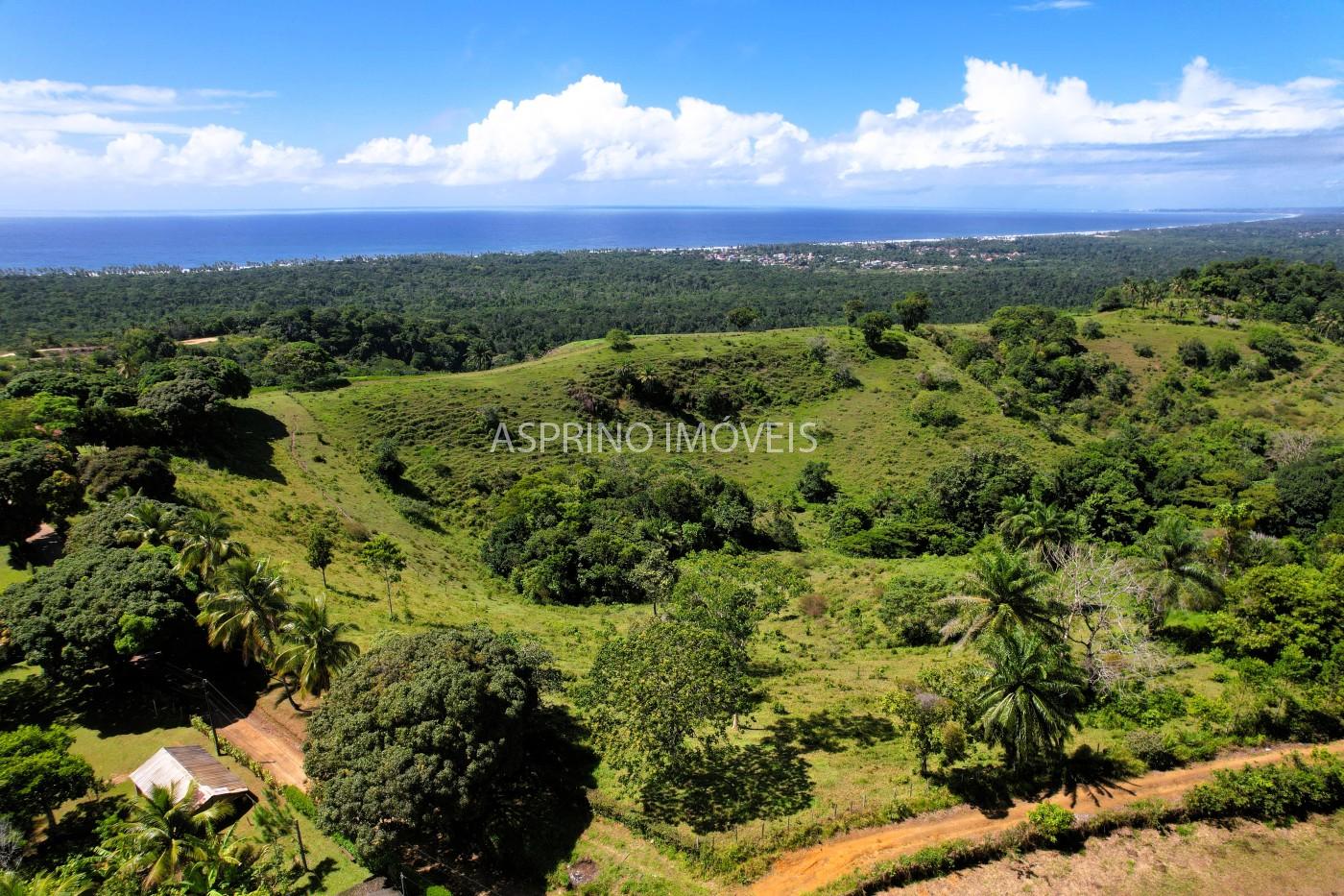 Chácara, 2 quartos, 70 hectares - Foto 13