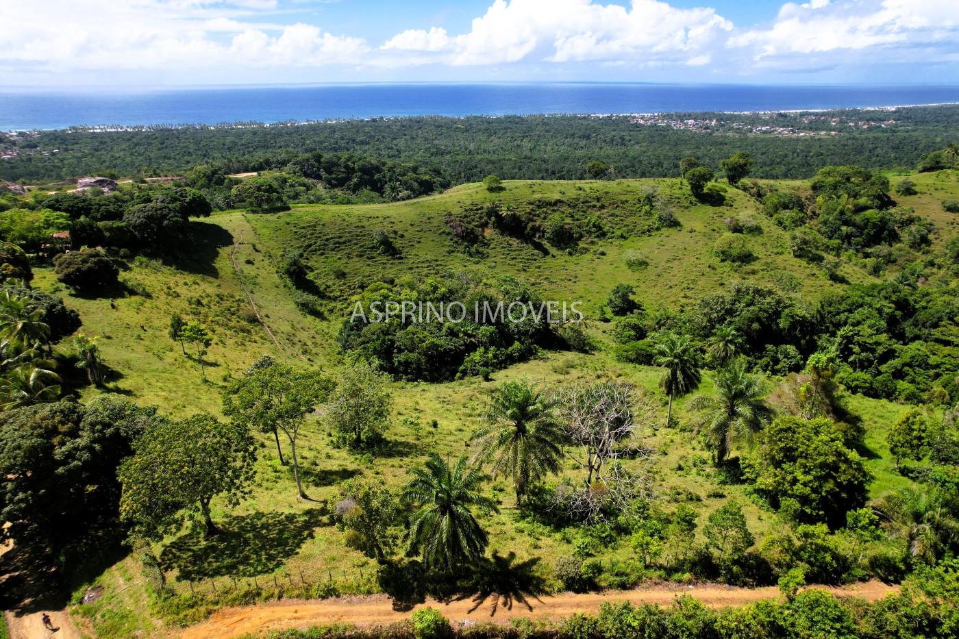 Chácara, 2 quartos, 70 hectares - Foto 12