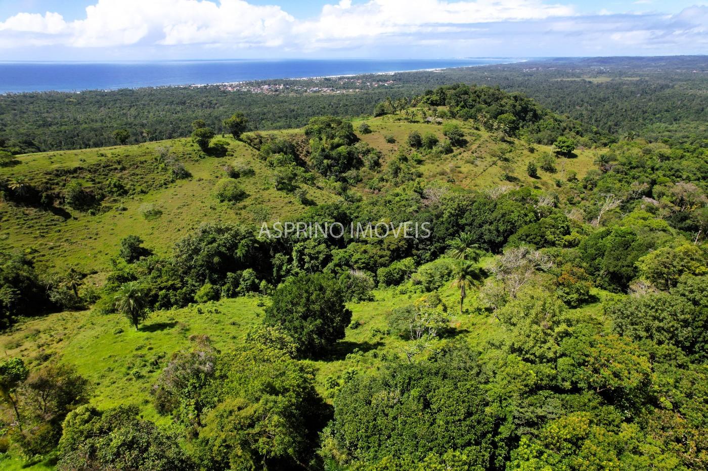 Chácara, 2 quartos, 70 hectares - Foto 14