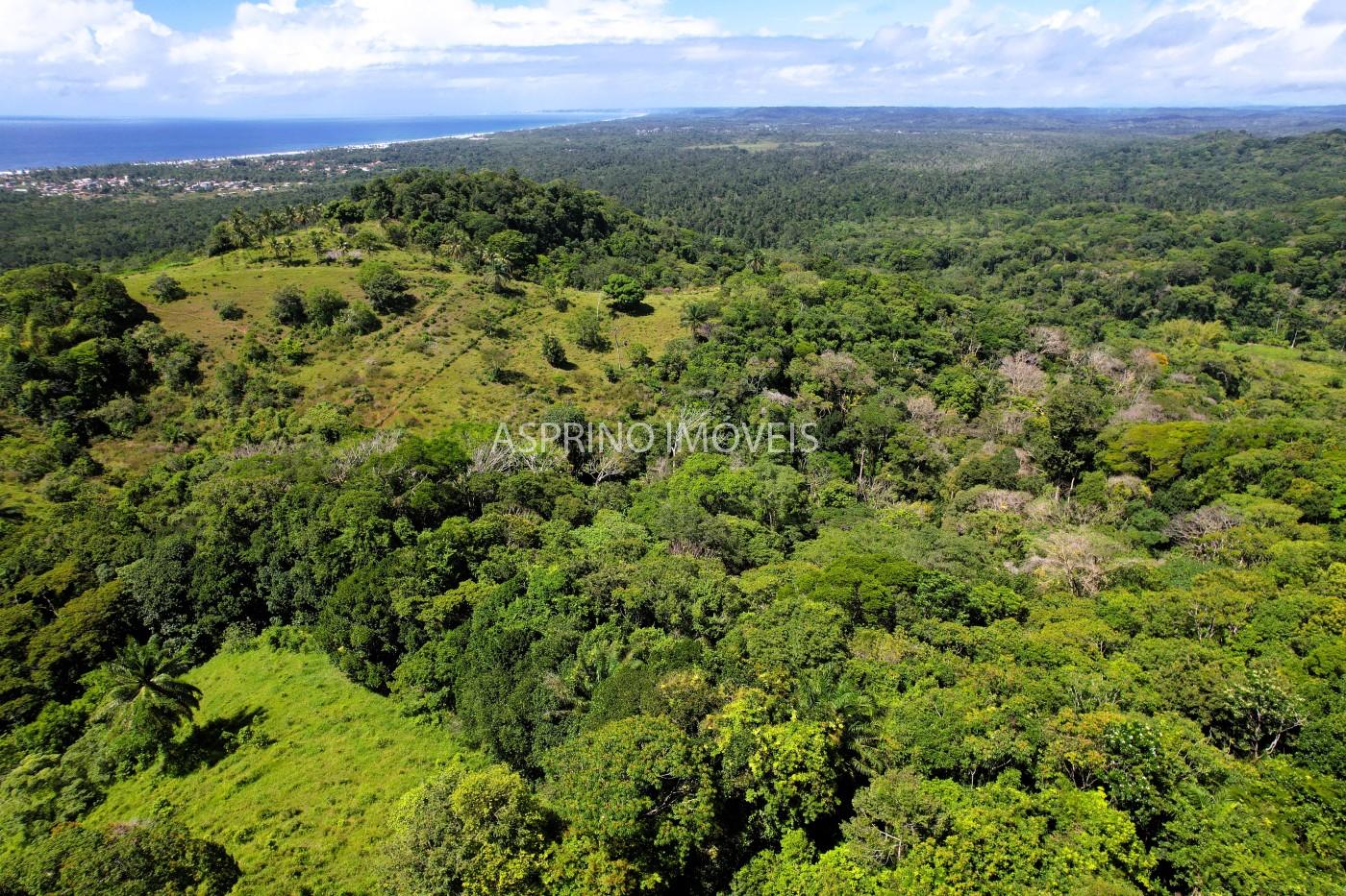 Chácara, 2 quartos, 70 hectares - Foto 15