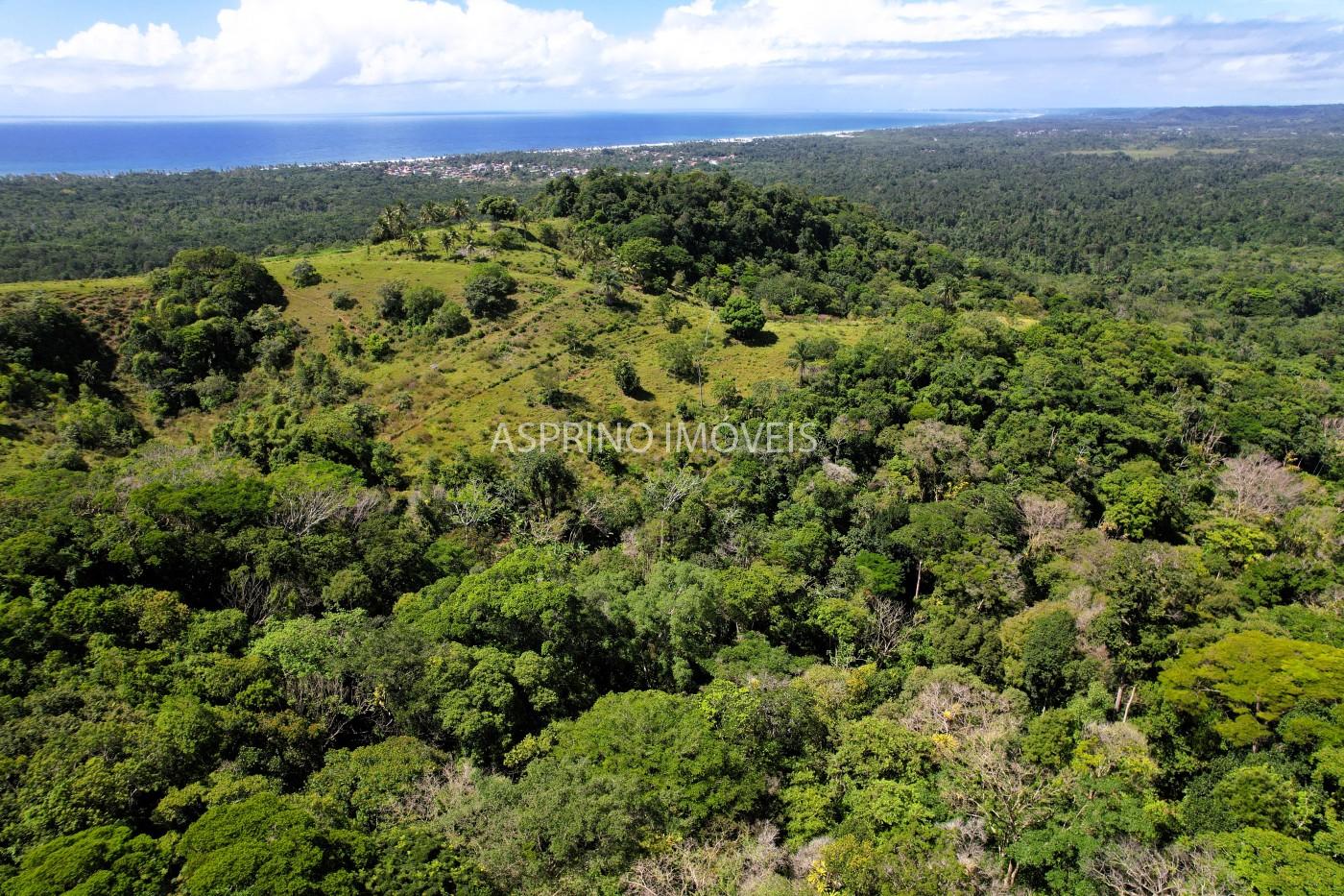 Chácara, 2 quartos, 70 hectares - Foto 16