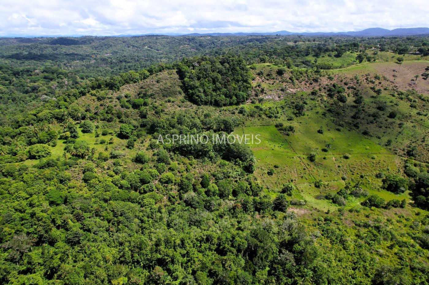 Chácara, 2 quartos, 70 hectares - Foto 17