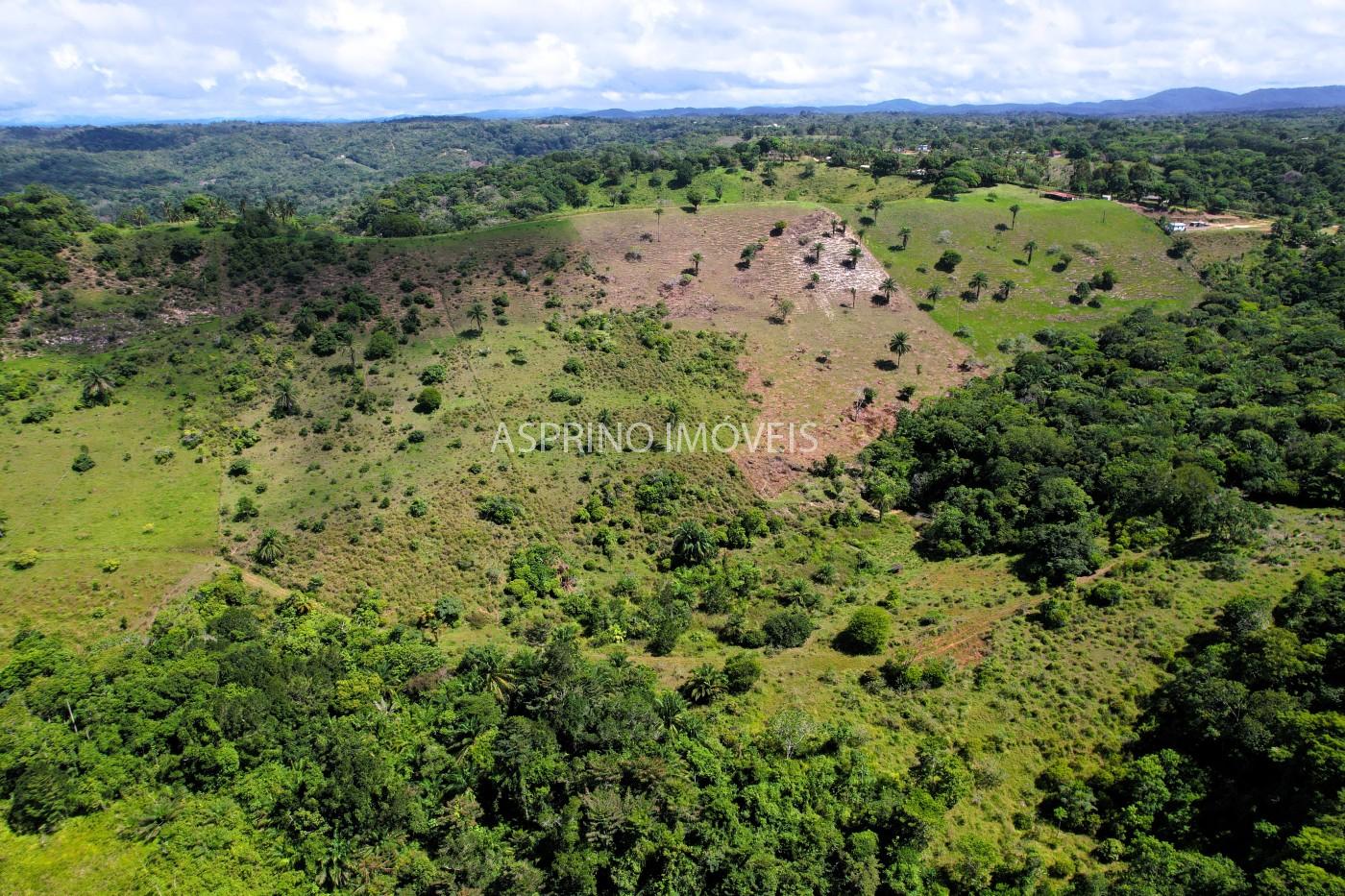 Chácara, 2 quartos, 70 hectares - Foto 18