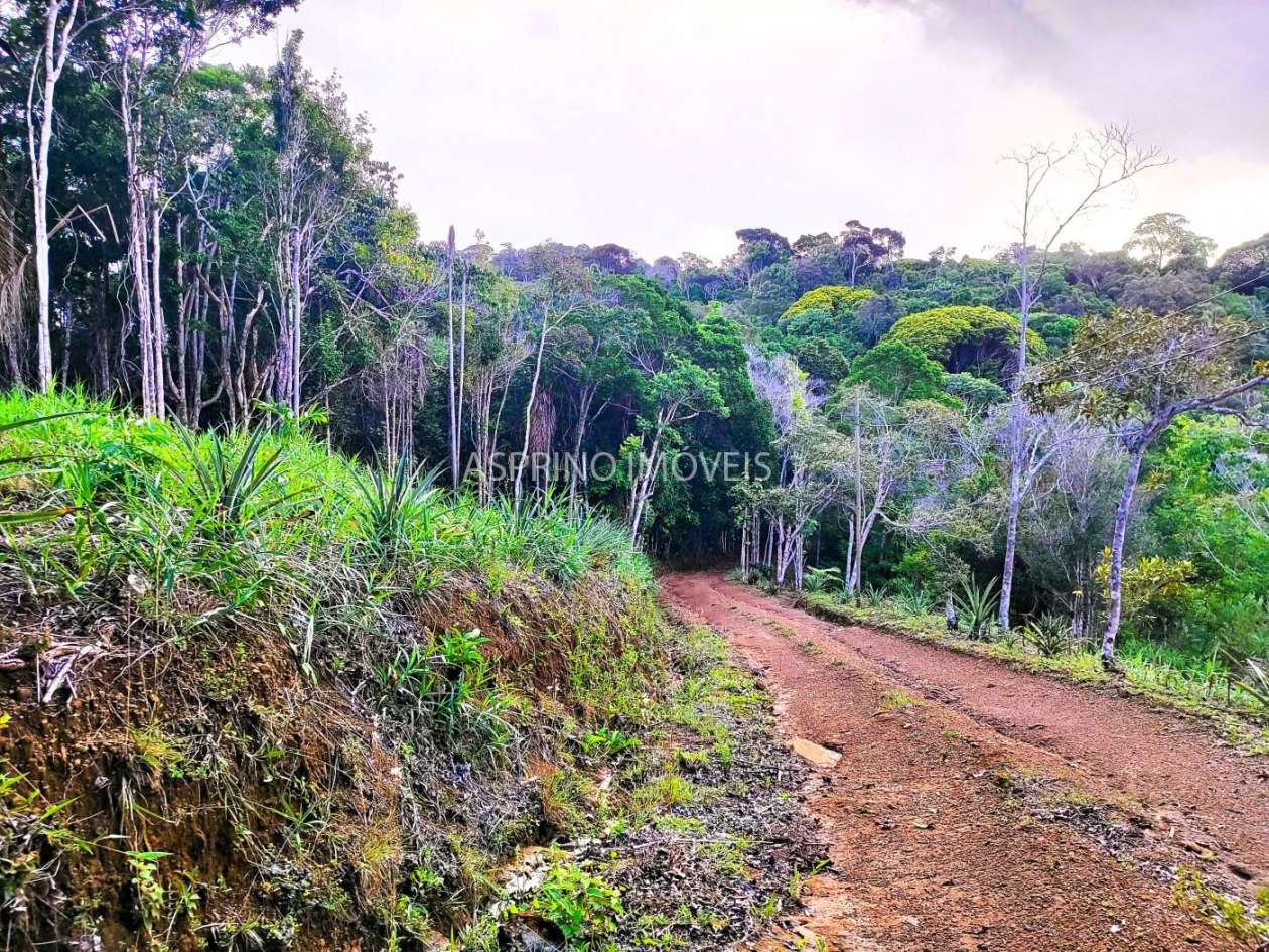 Chácara, 35 hectares - Foto 30