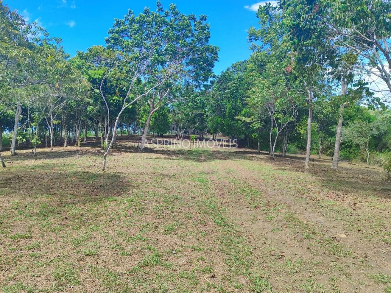 Chácara, 31 hectares - Foto 8