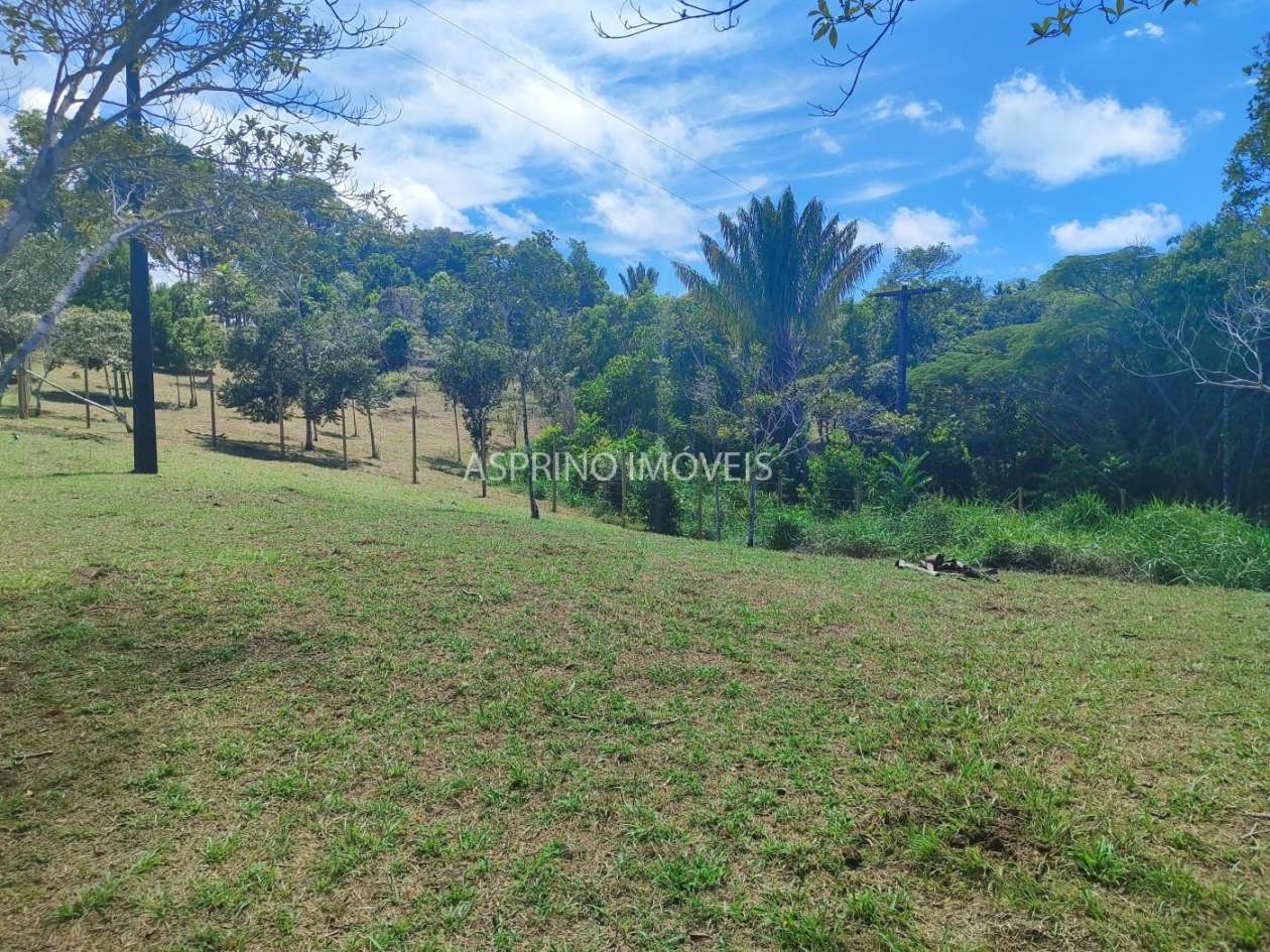 Chácara, 31 hectares - Foto 10