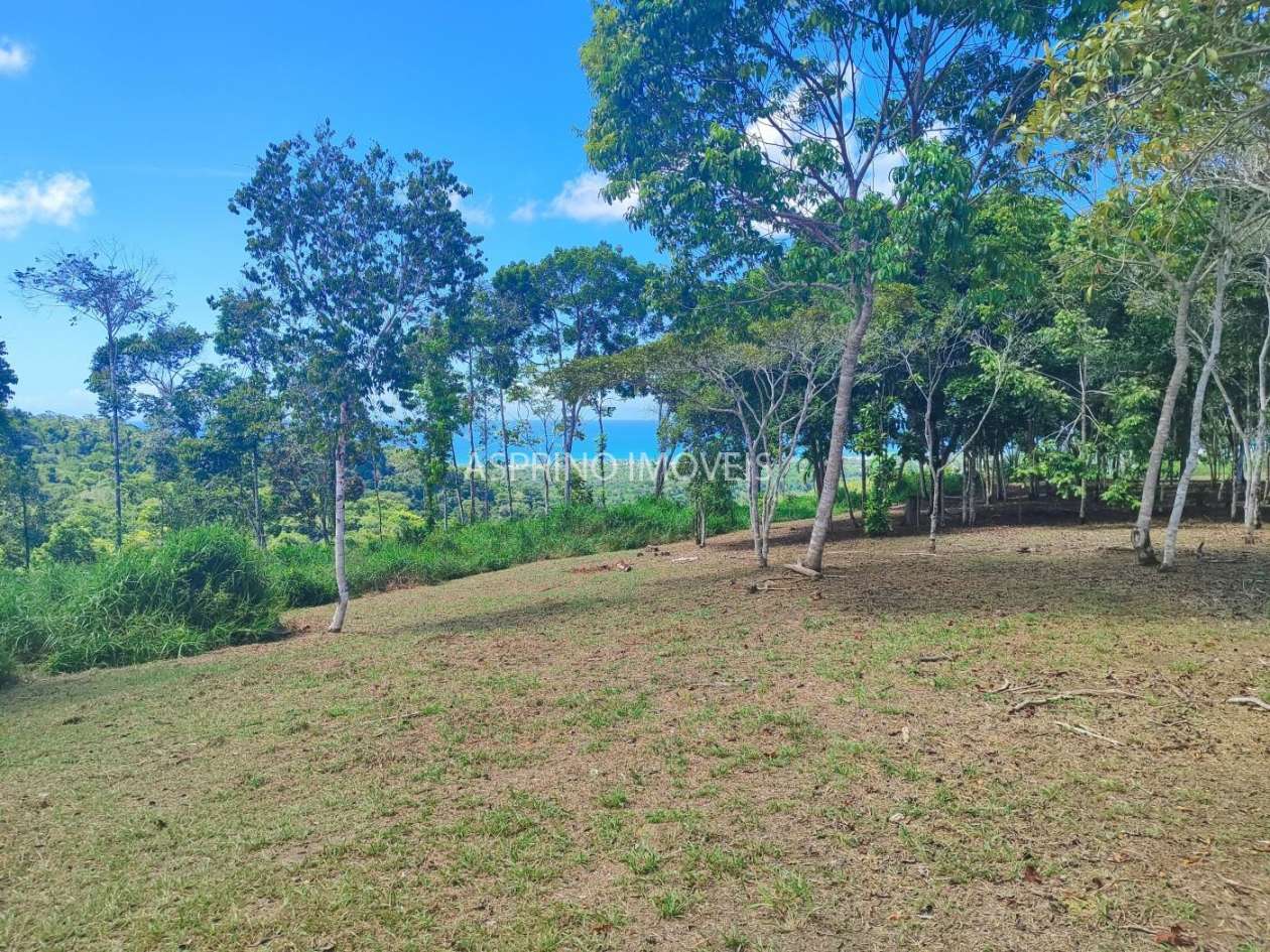 Chácara, 31 hectares - Foto 6