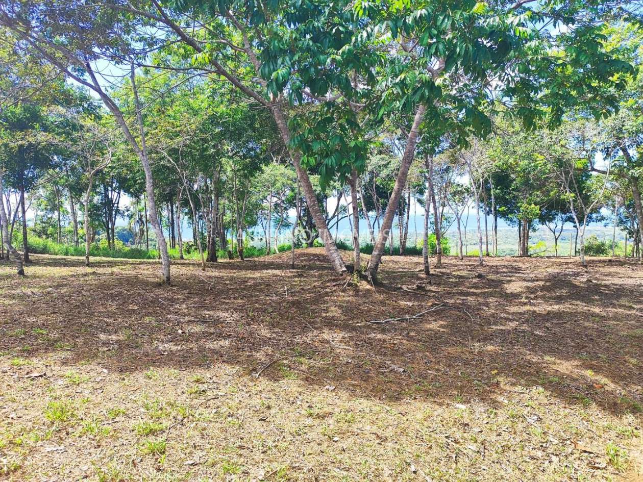 Chácara, 31 hectares - Foto 4