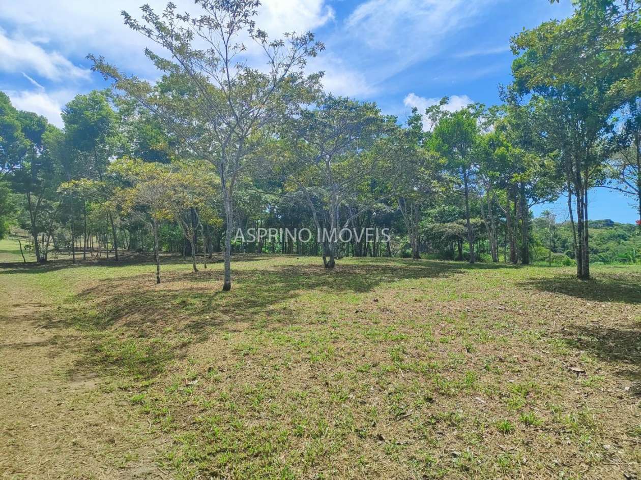 Chácara, 31 hectares - Foto 11