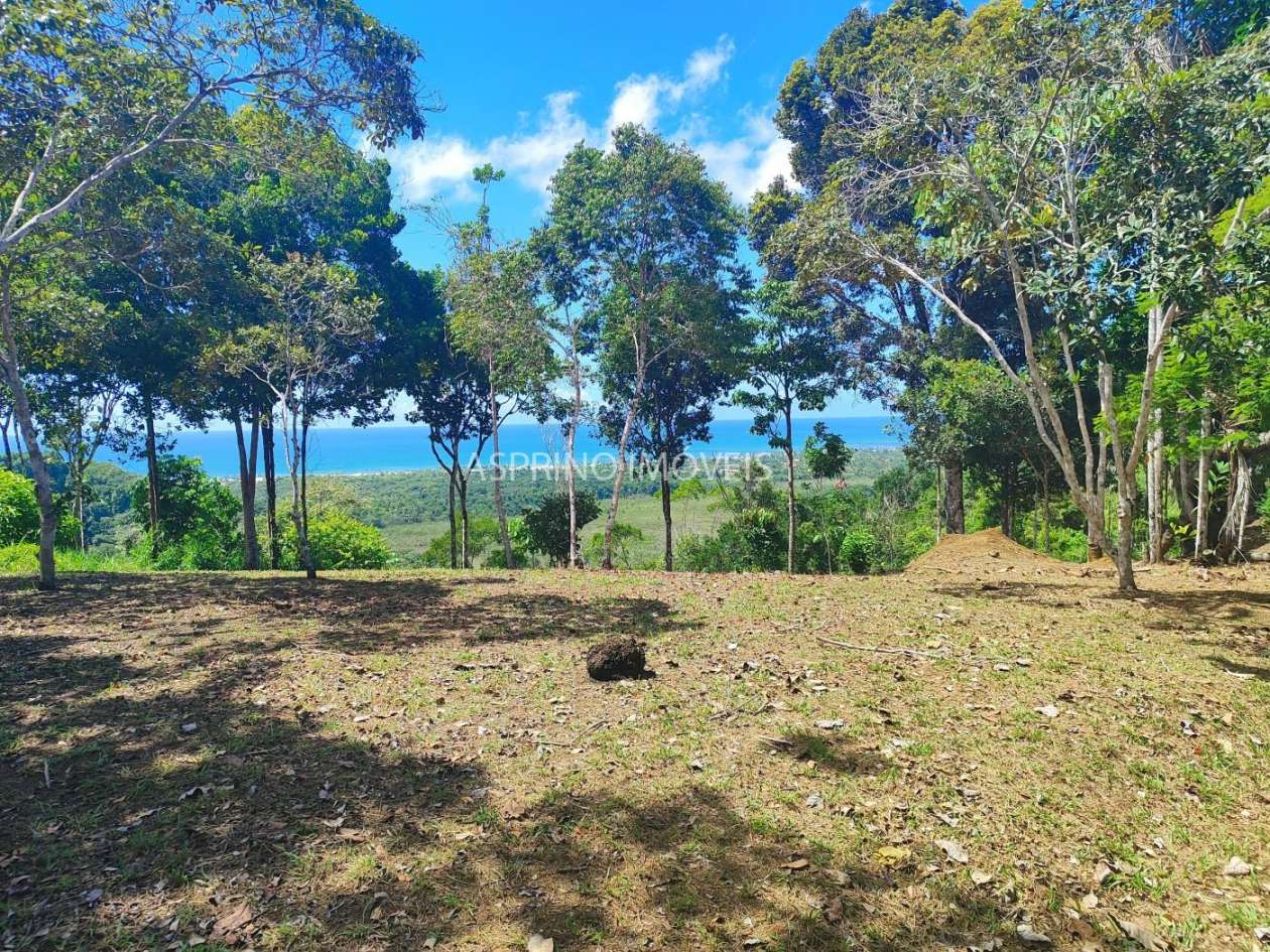Chácara, 31 hectares - Foto 2