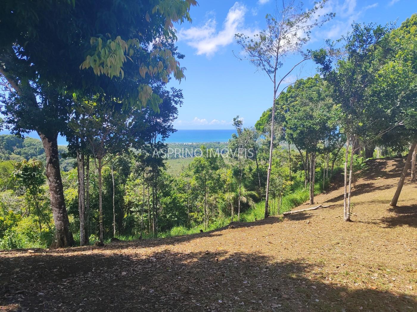 Chácara, 31 hectares - Foto 3