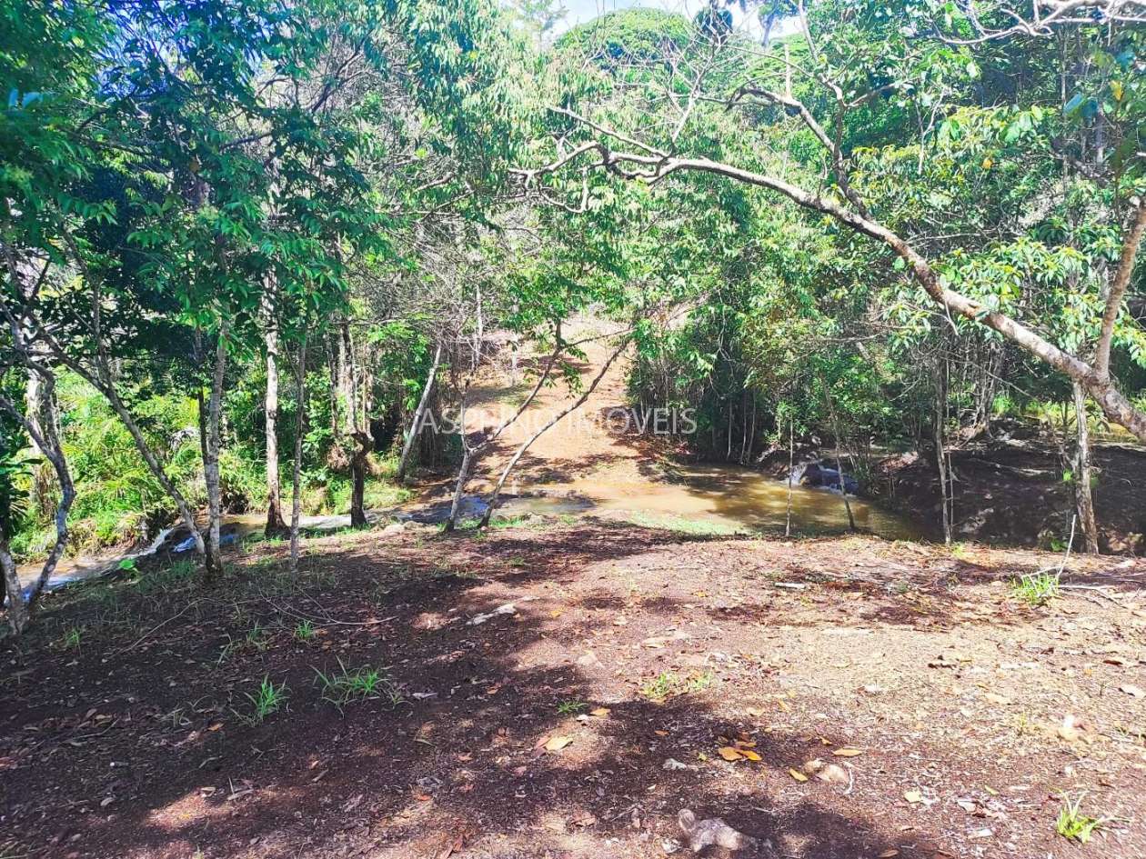Chácara, 31 hectares - Foto 12
