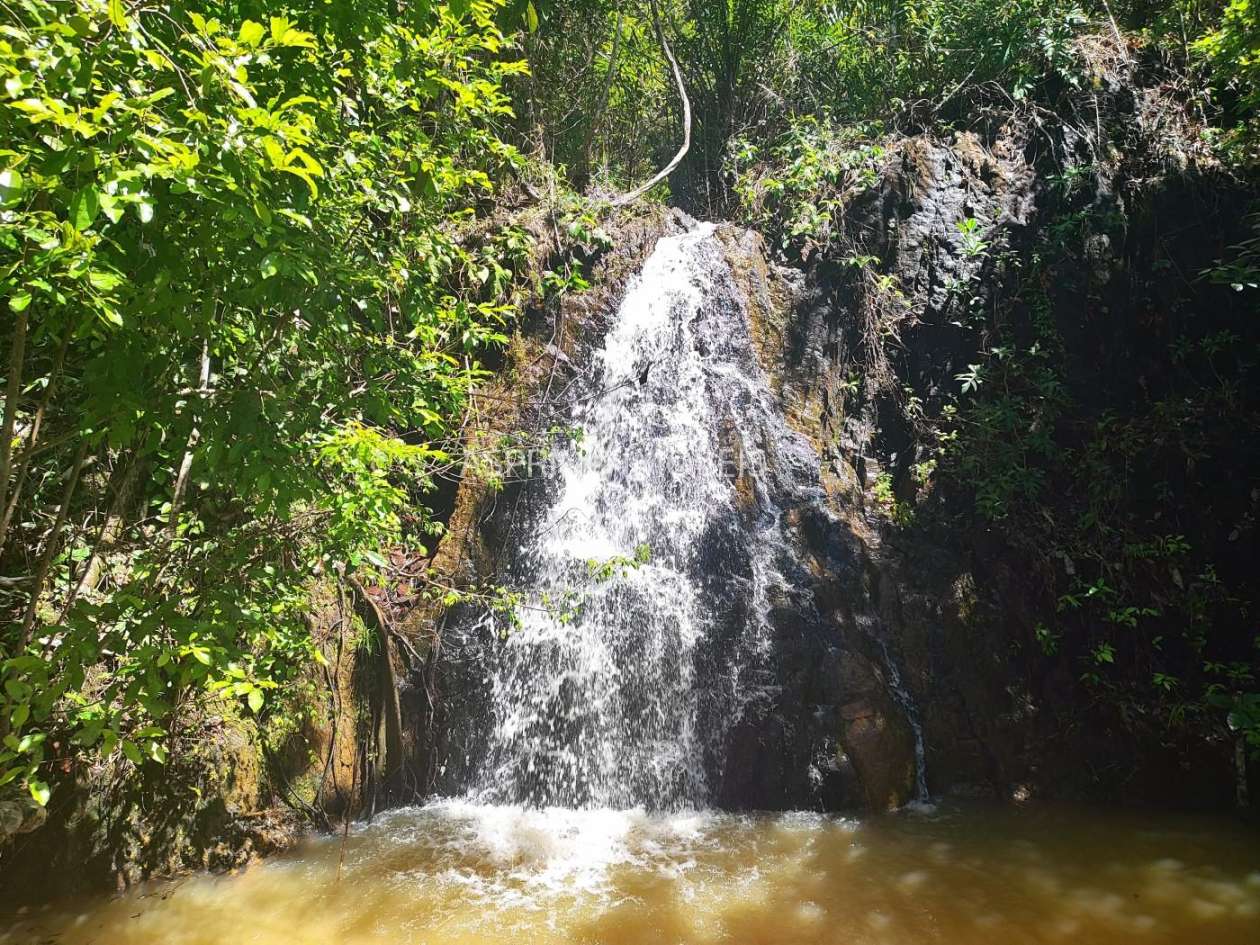 Chácara, 31 hectares - Foto 14