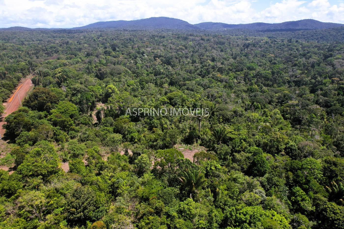 Chácara, 31 hectares - Foto 34
