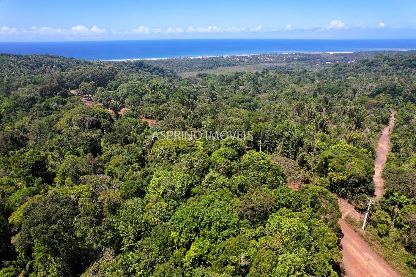 Chácara, 31 hectares - Foto 32