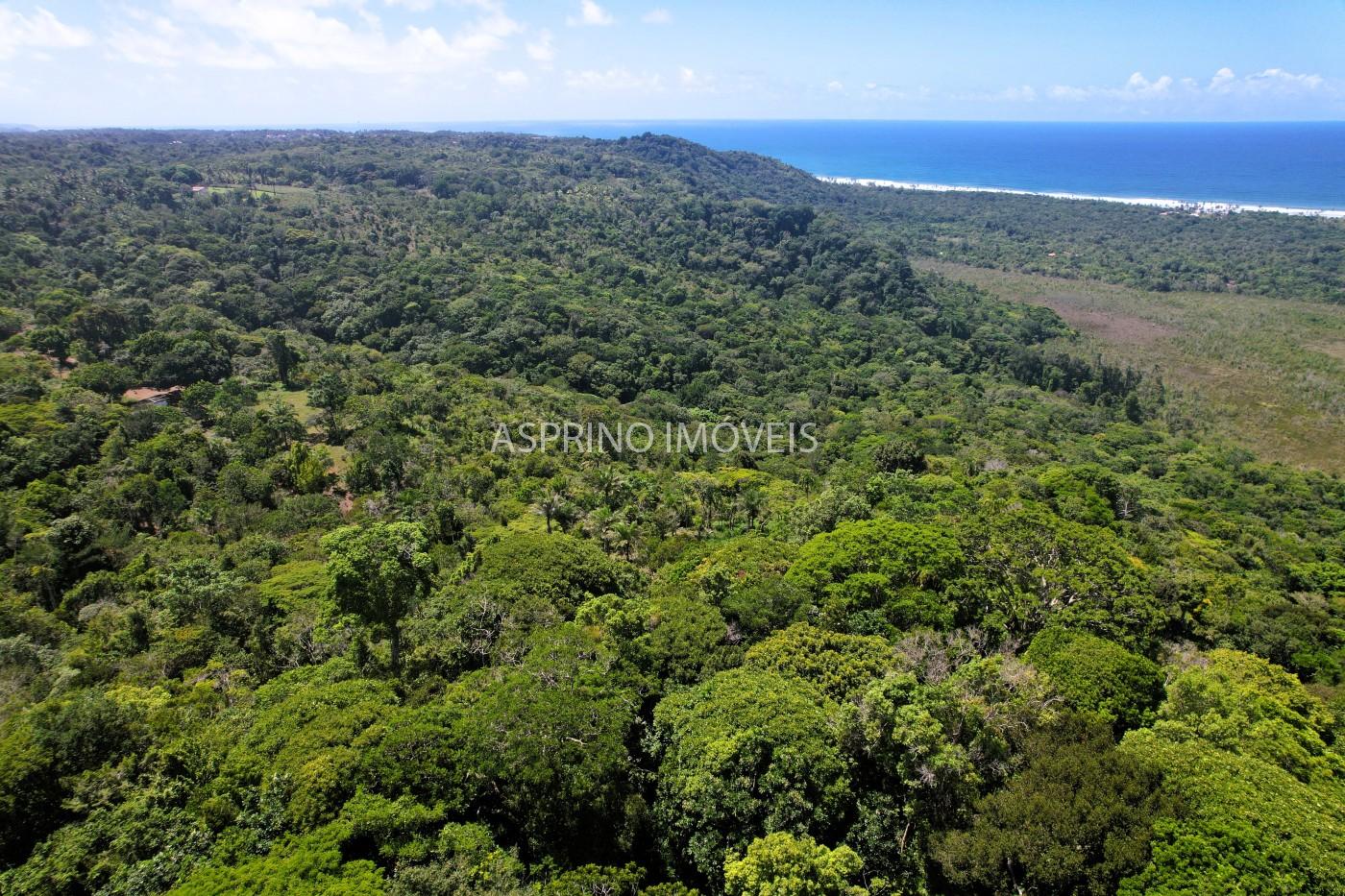 Chácara, 31 hectares - Foto 23