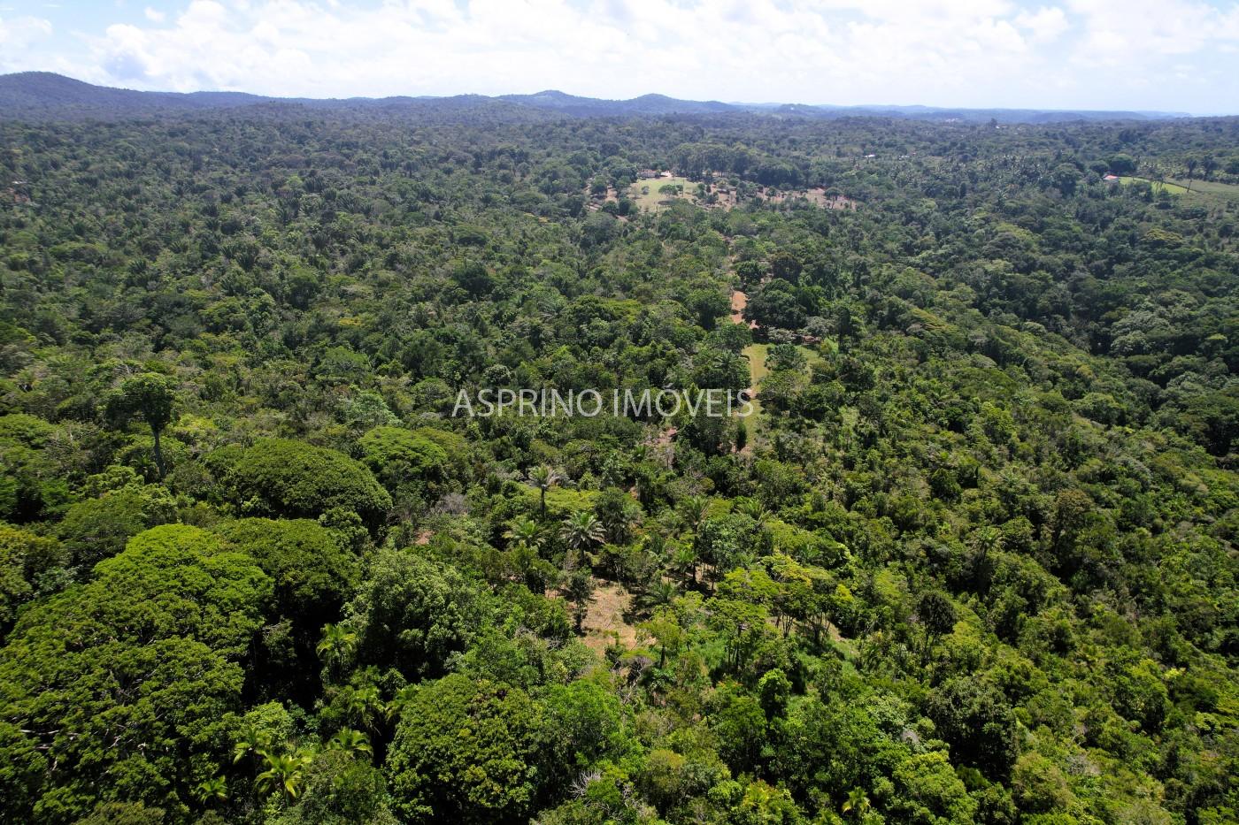 Chácara, 31 hectares - Foto 18