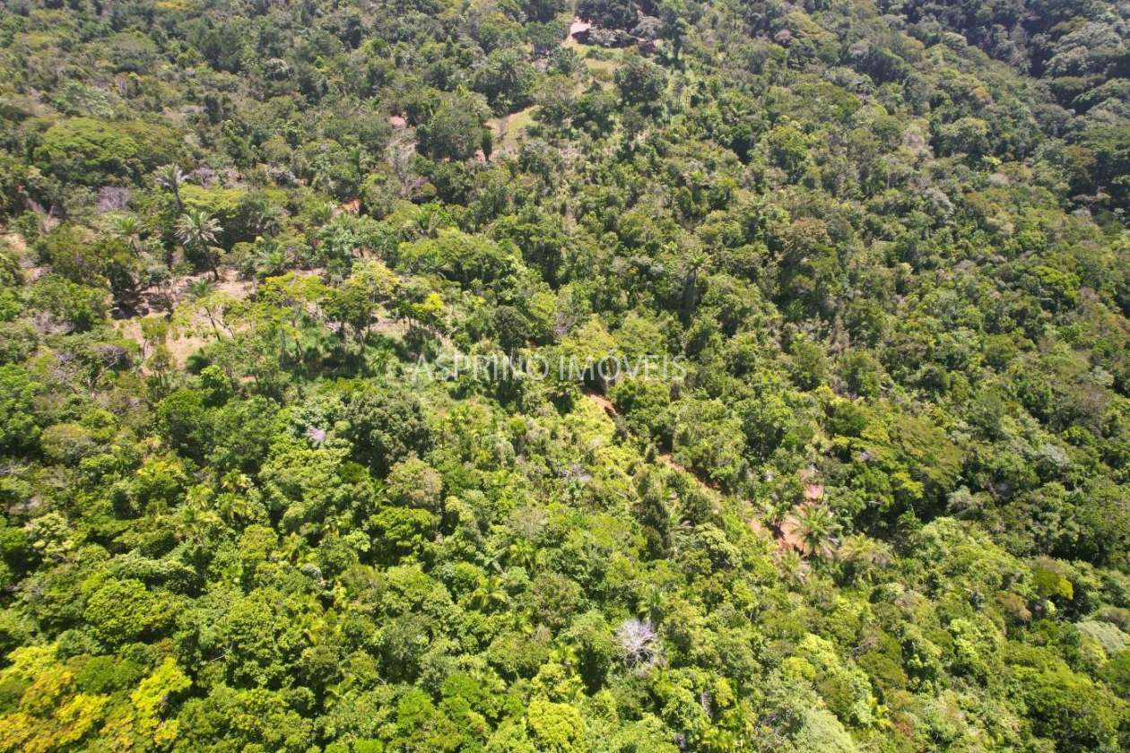 Chácara, 31 hectares - Foto 17