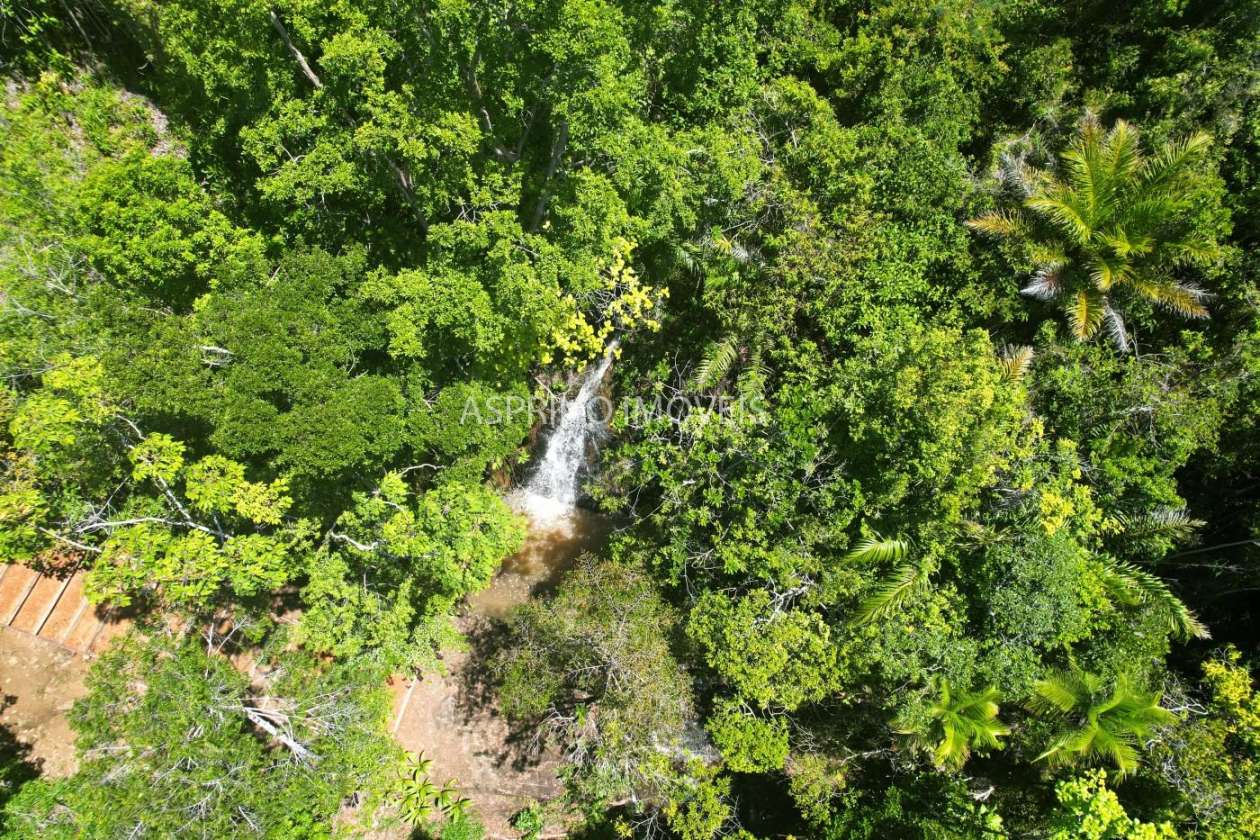 Chácara, 31 hectares - Foto 16