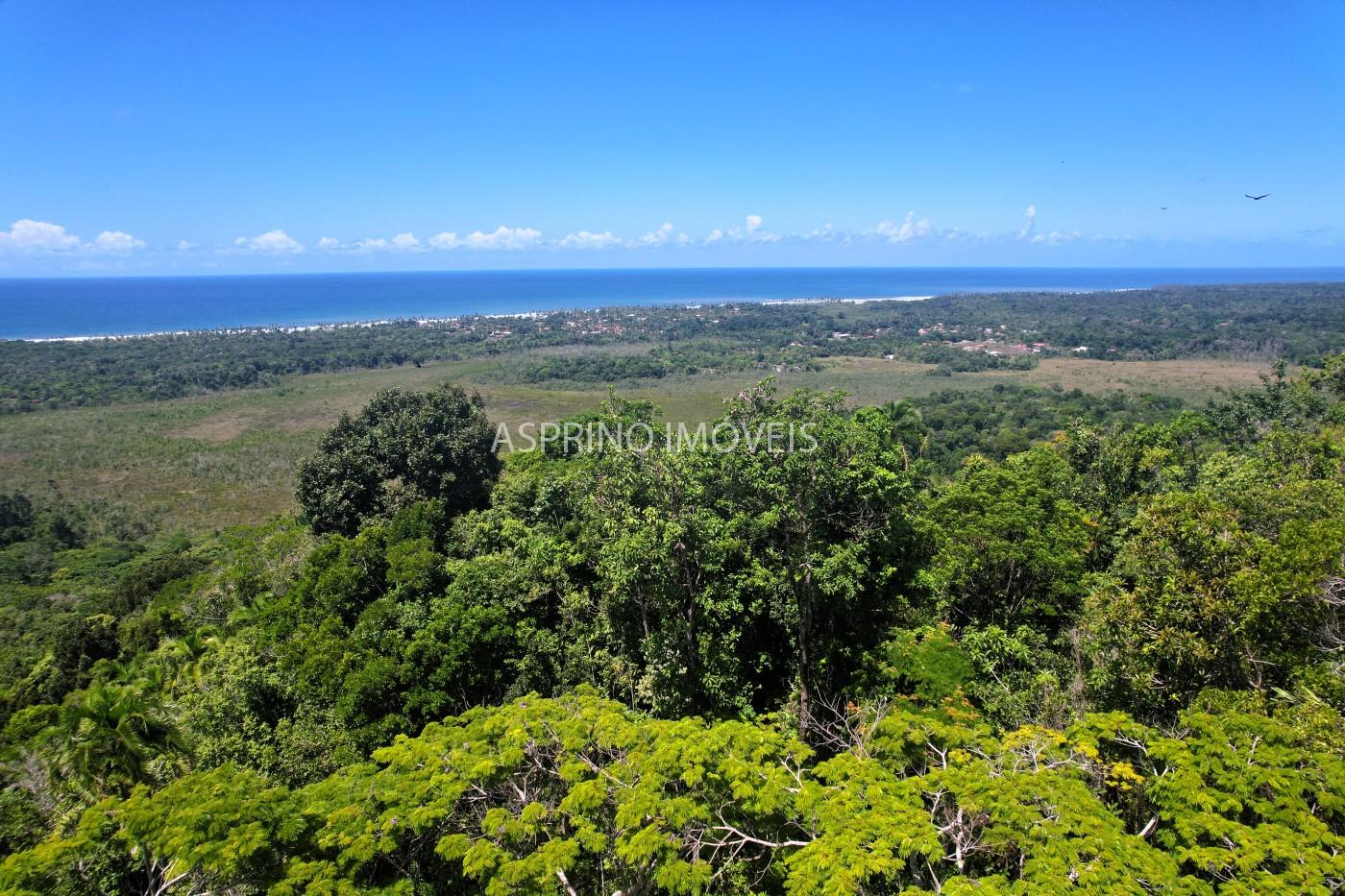 Chácara, 31 hectares - Foto 27