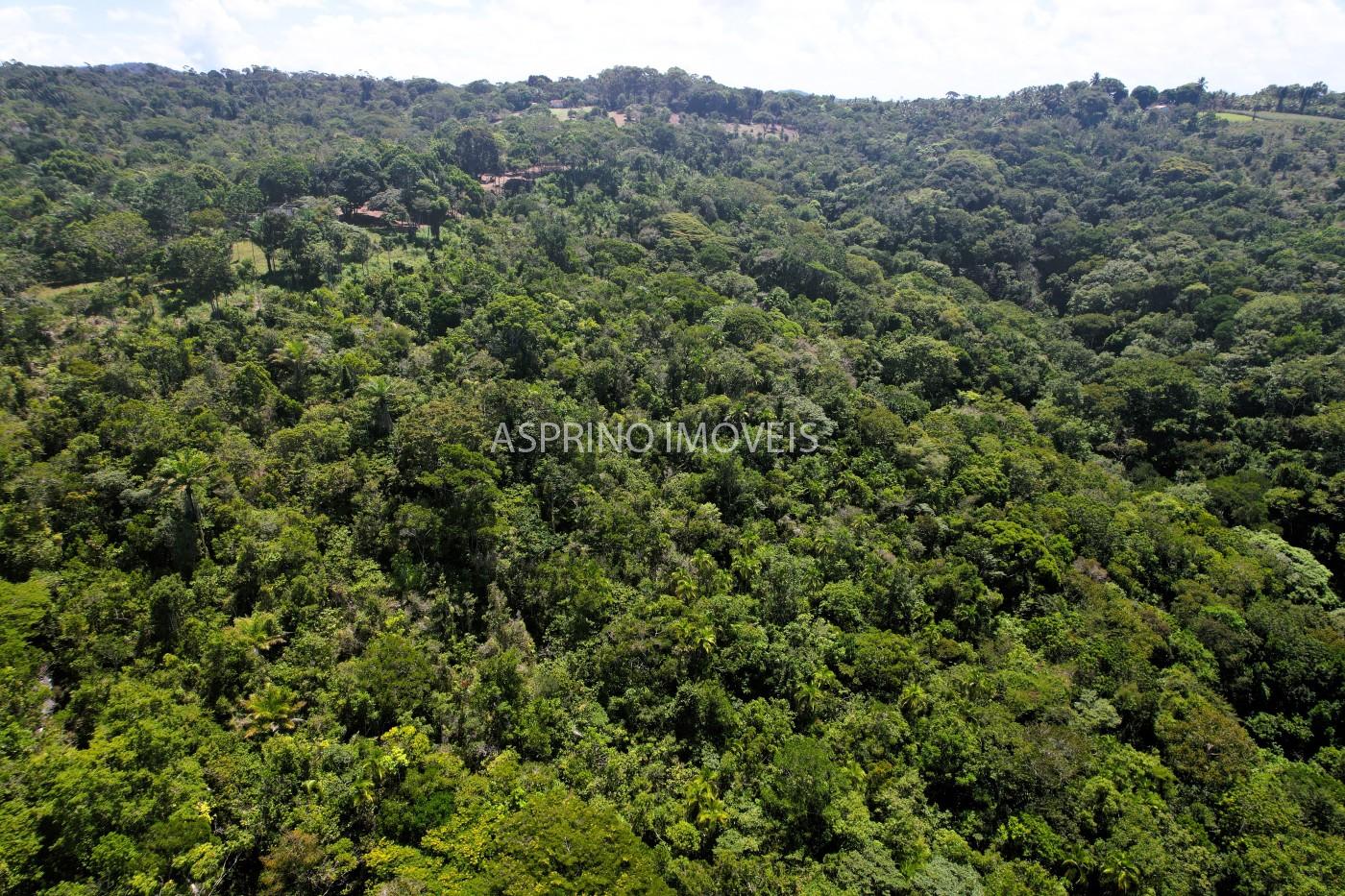 Chácara, 31 hectares - Foto 20