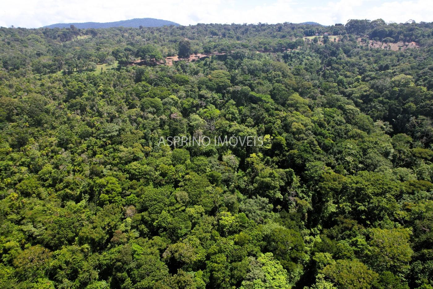 Chácara, 31 hectares - Foto 19
