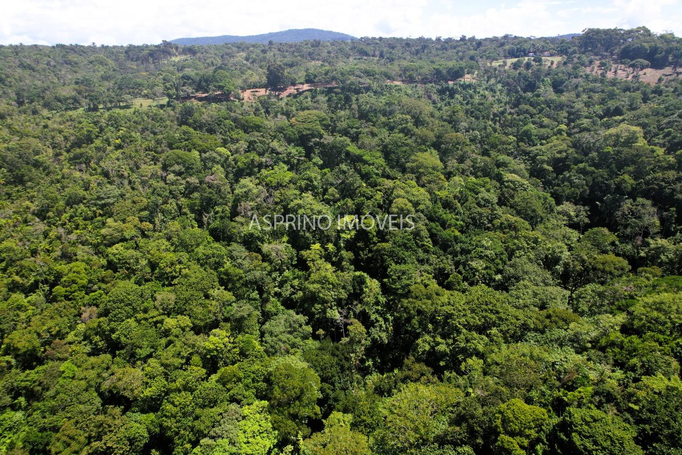 Chácara, 31 hectares - Foto 21