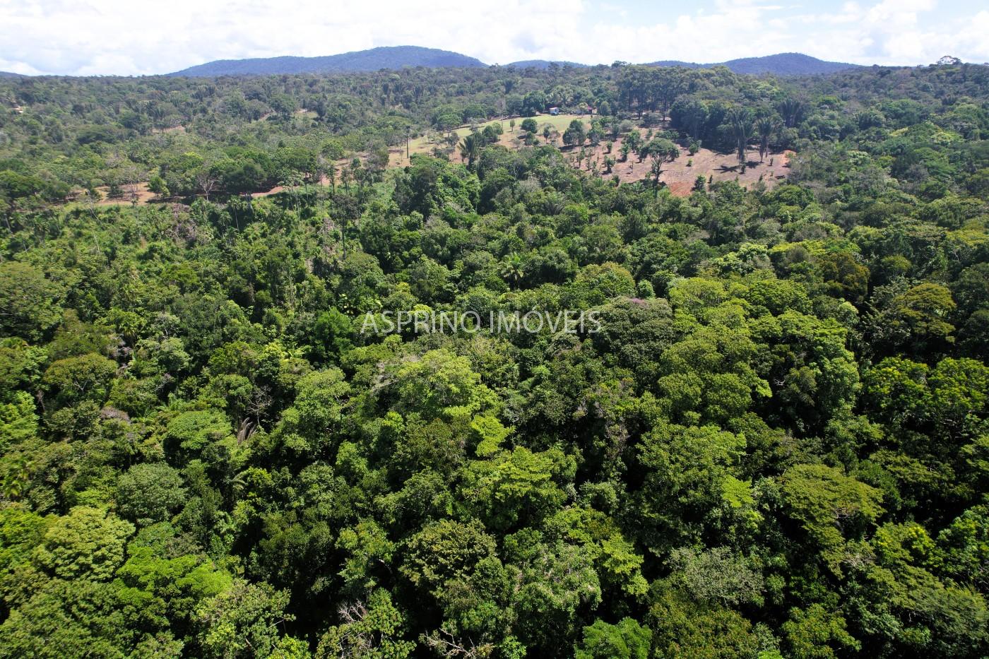 Chácara, 31 hectares - Foto 22