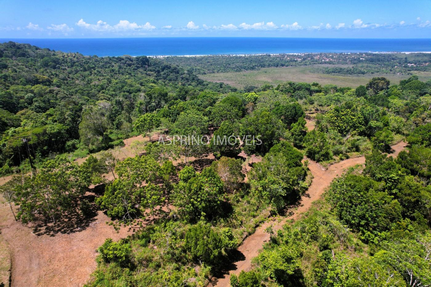 Chácara, 31 hectares - Foto 30