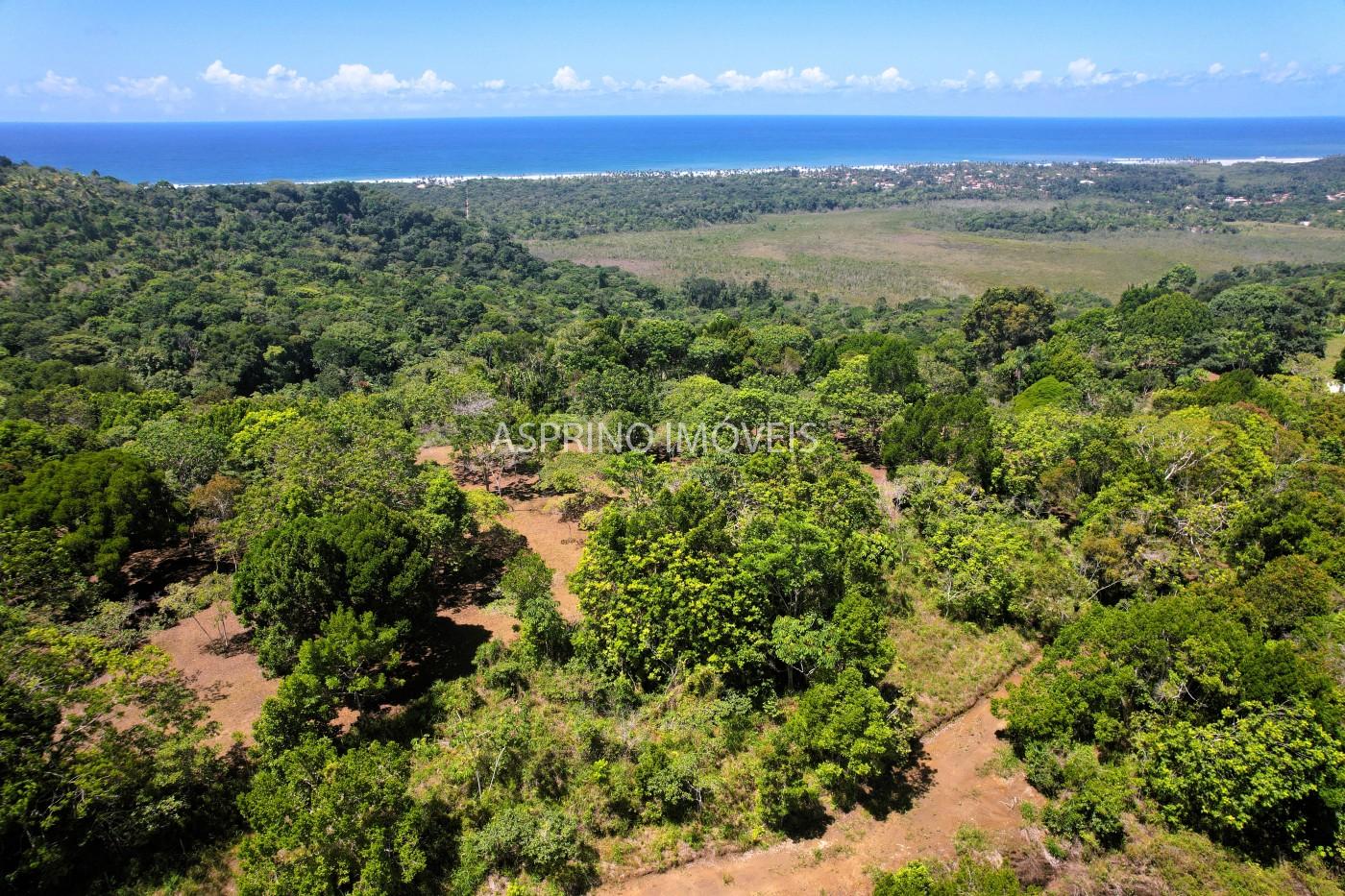 Chácara, 31 hectares - Foto 31