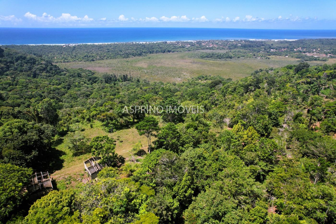 Chácara, 31 hectares - Foto 28