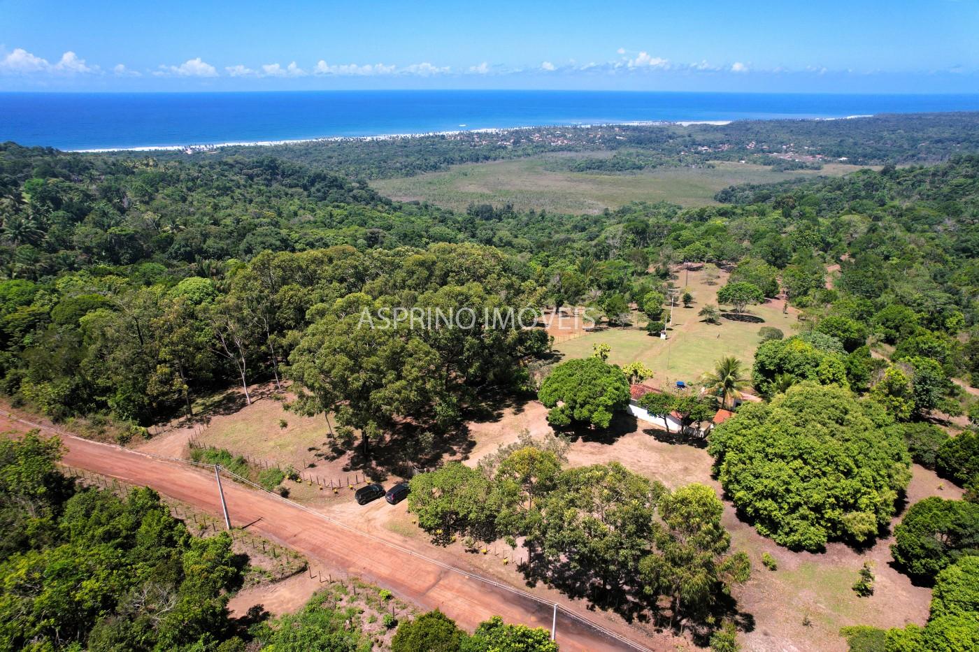 Chácara, 31 hectares - Foto 1
