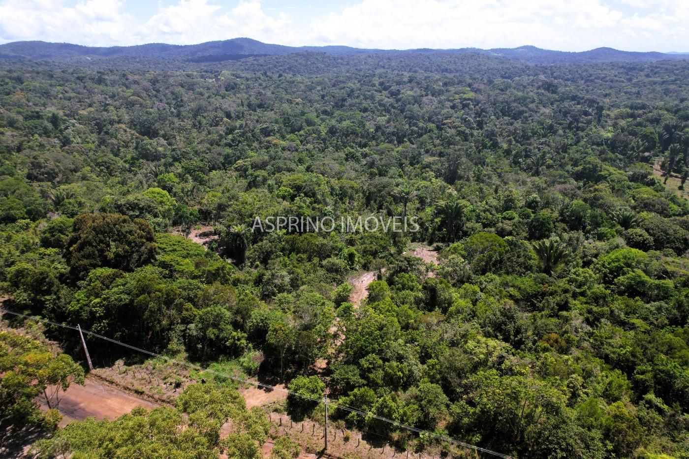 Chácara, 31 hectares - Foto 33