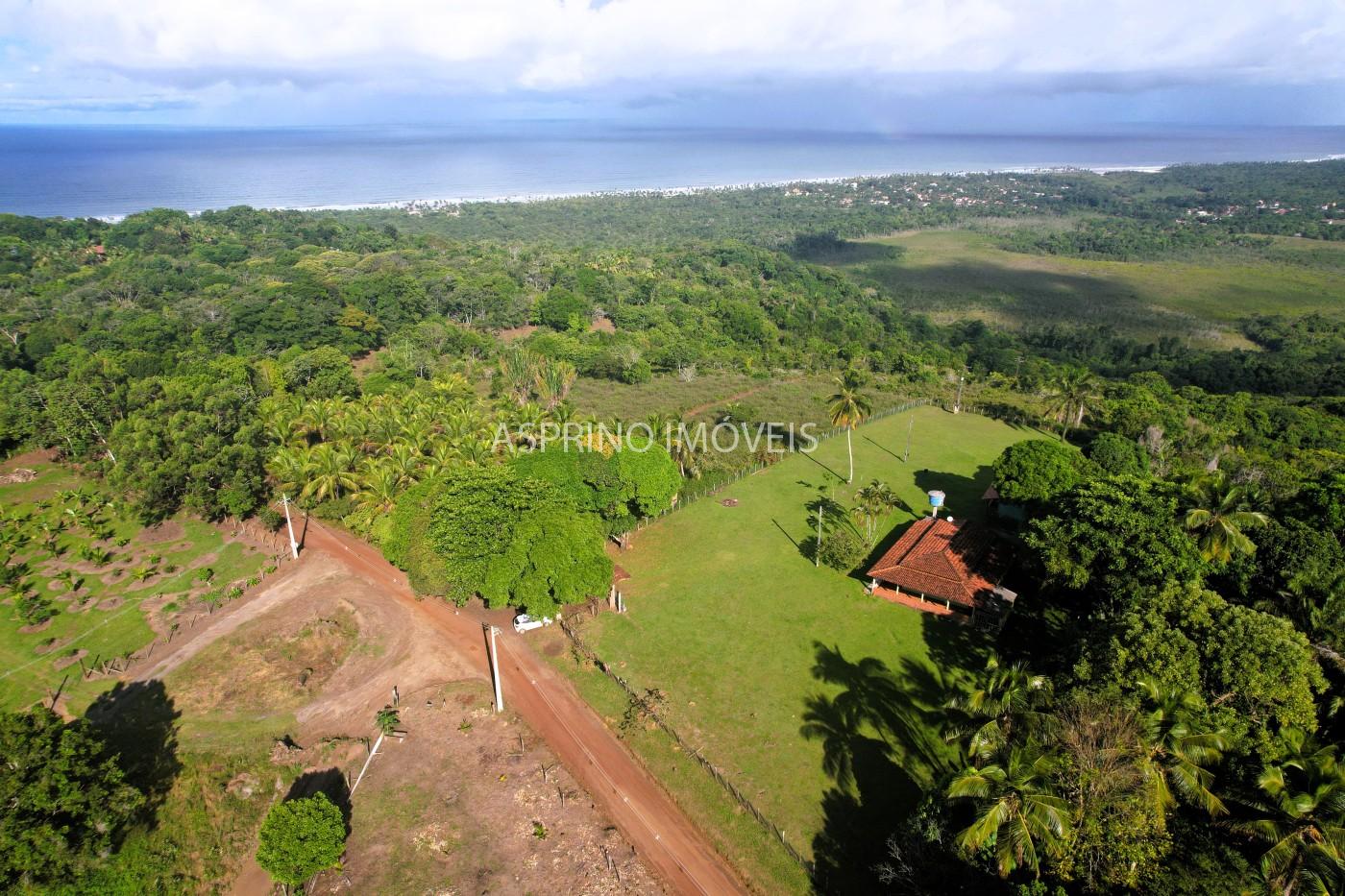 Chácara, 3 quartos, 5 hectares - Foto 6