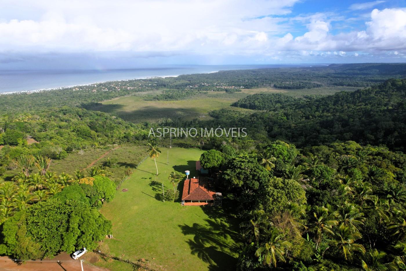Chácara, 3 quartos, 5 hectares - Foto 7