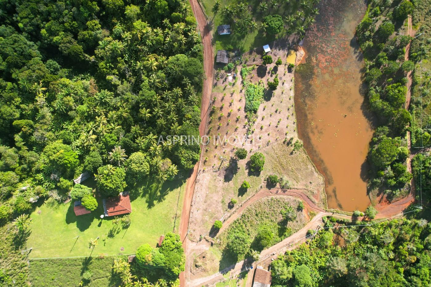 Chácara, 3 quartos, 5 hectares - Foto 19