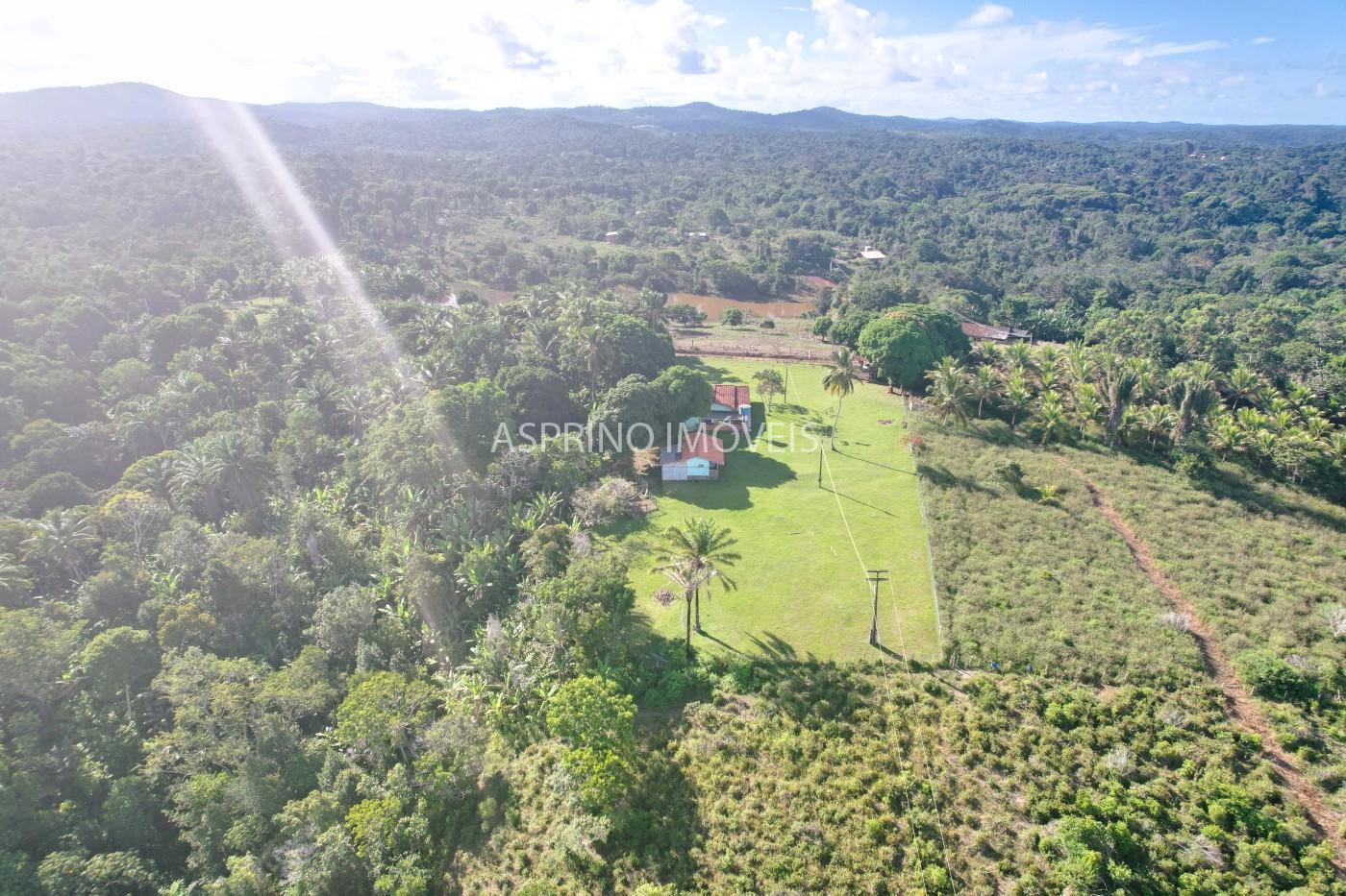 Chácara, 3 quartos, 5 hectares - Foto 8