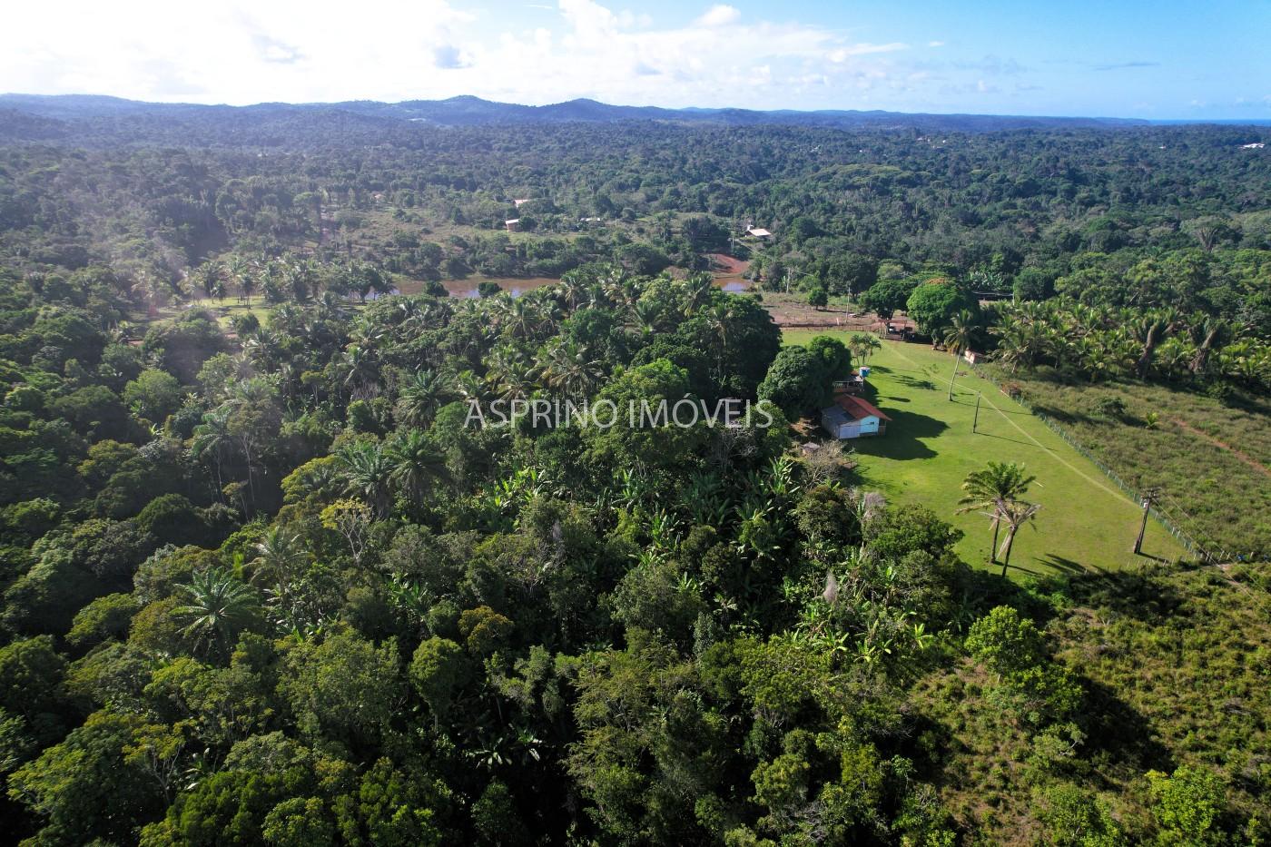 Chácara, 3 quartos, 5 hectares - Foto 9
