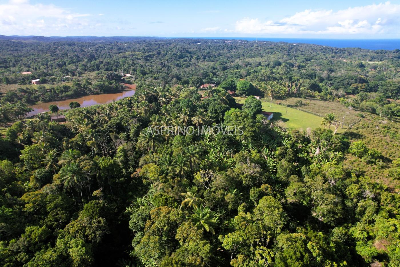 Chácara, 3 quartos, 5 hectares - Foto 10