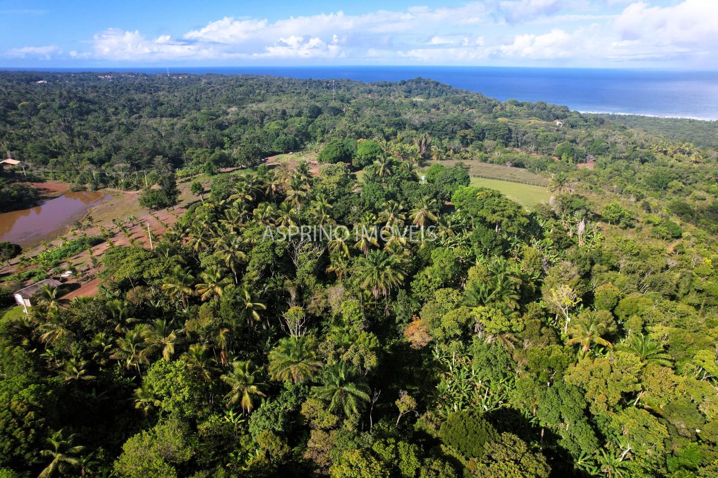 Chácara, 3 quartos, 5 hectares - Foto 11