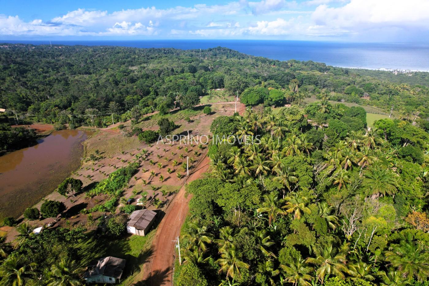 Chácara, 3 quartos, 5 hectares - Foto 12