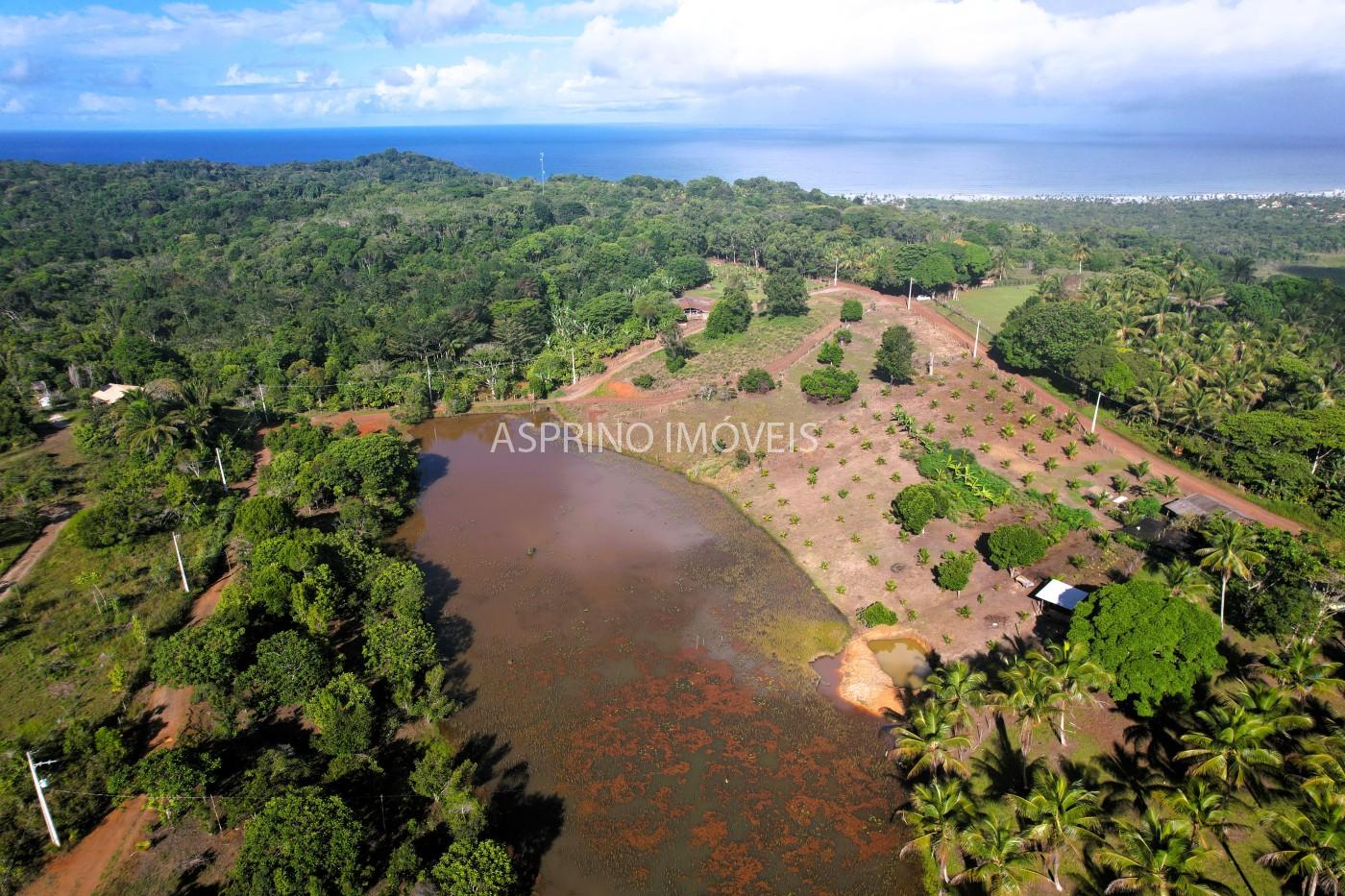 Chácara, 3 quartos, 5 hectares - Foto 13