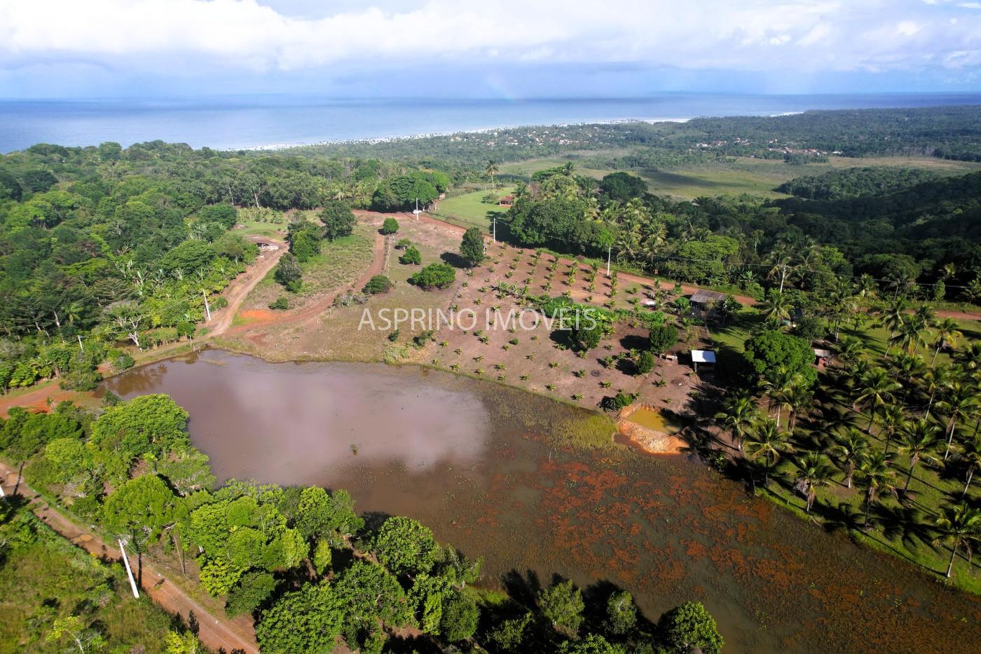 Chácara, 3 quartos, 5 hectares - Foto 14