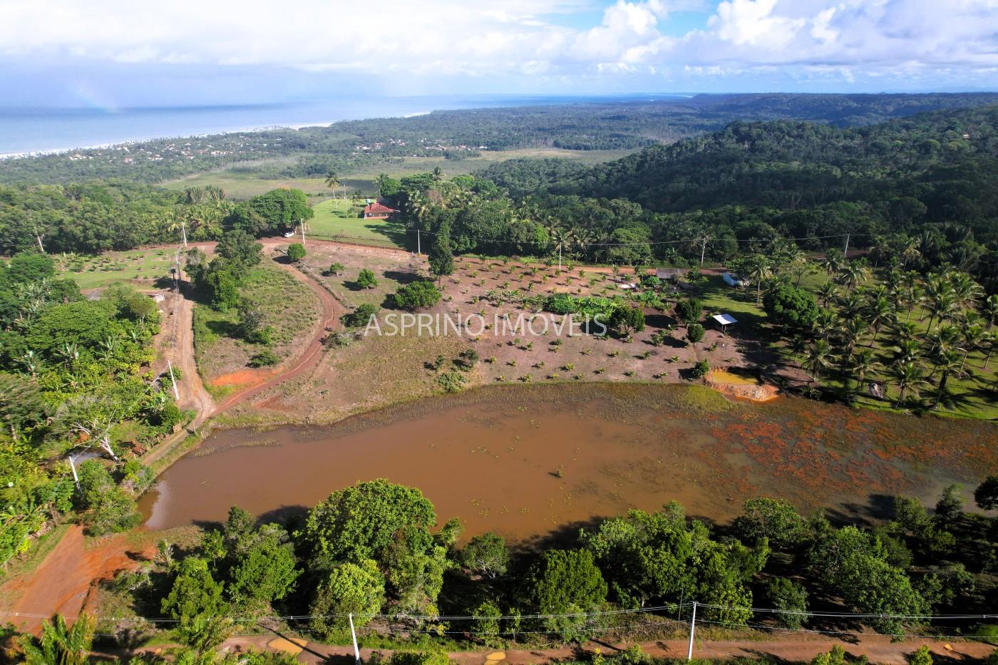 Chácara, 3 quartos, 5 hectares - Foto 15