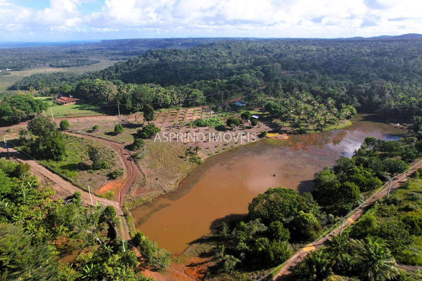 Chácara, 3 quartos, 5 hectares - Foto 16