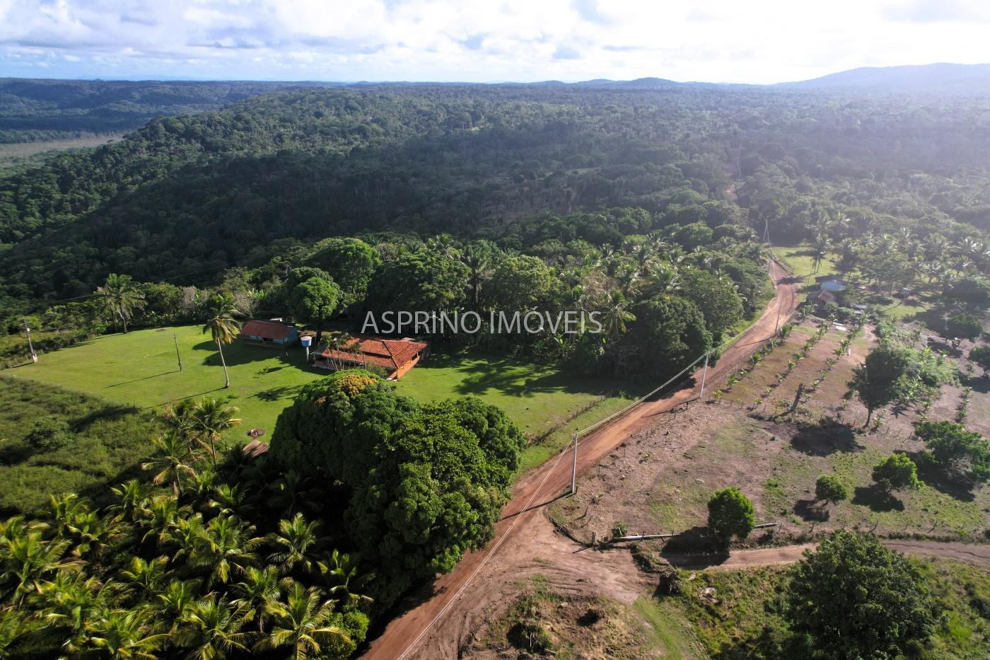 Chácara, 3 quartos, 5 hectares - Foto 17