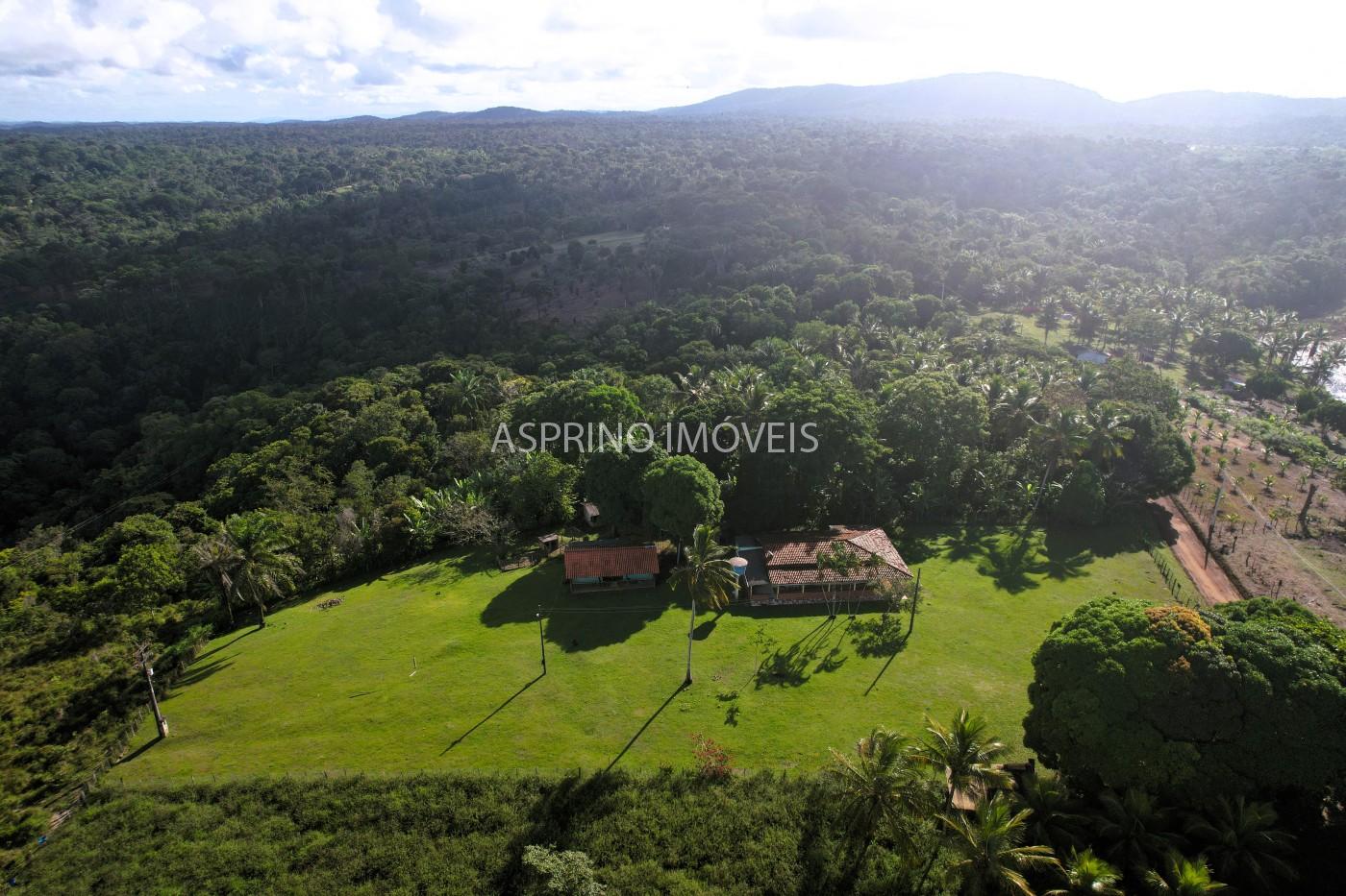 Chácara, 3 quartos, 5 hectares - Foto 18