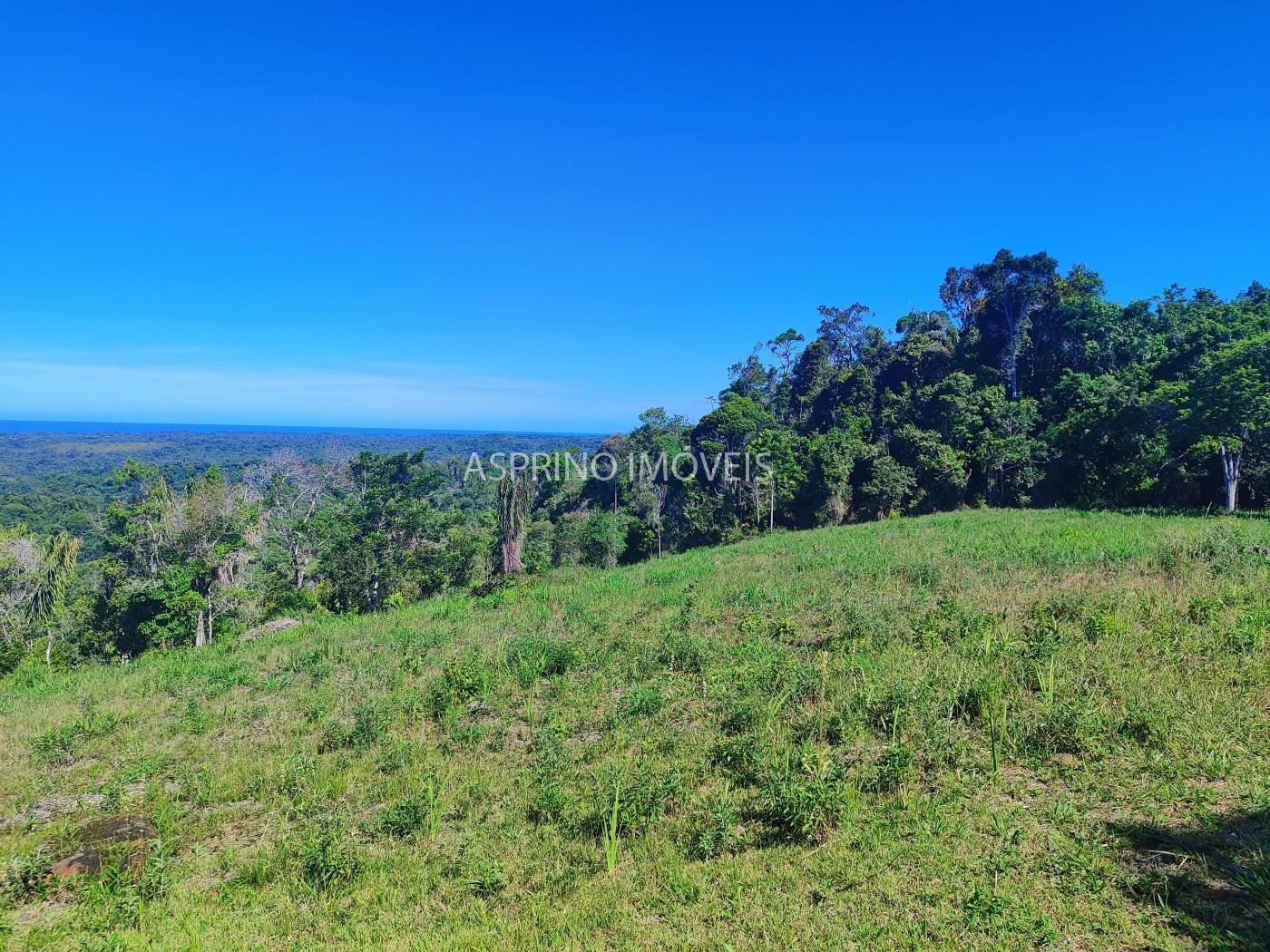 Chácara, 35 hectares - Foto 4